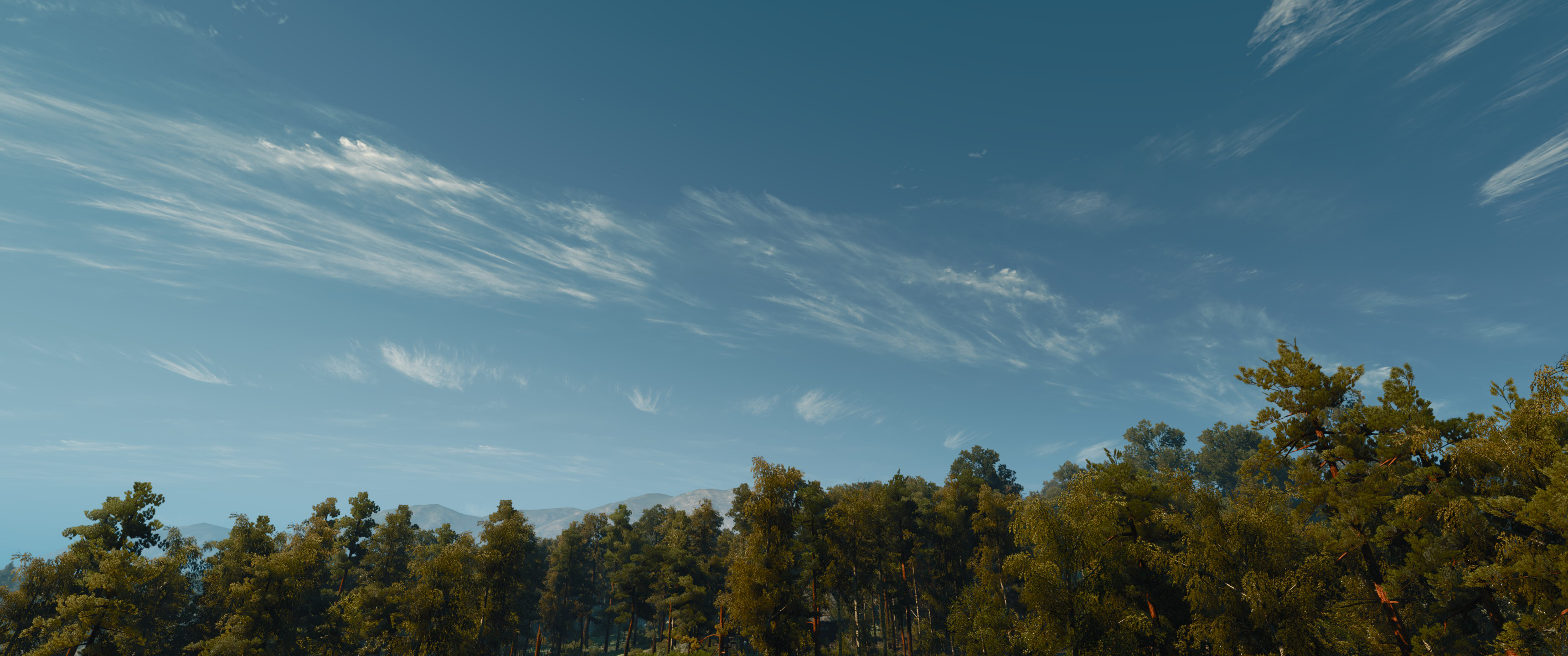 Ultrawide view of trees against a cloudy sky HD Wallpaper