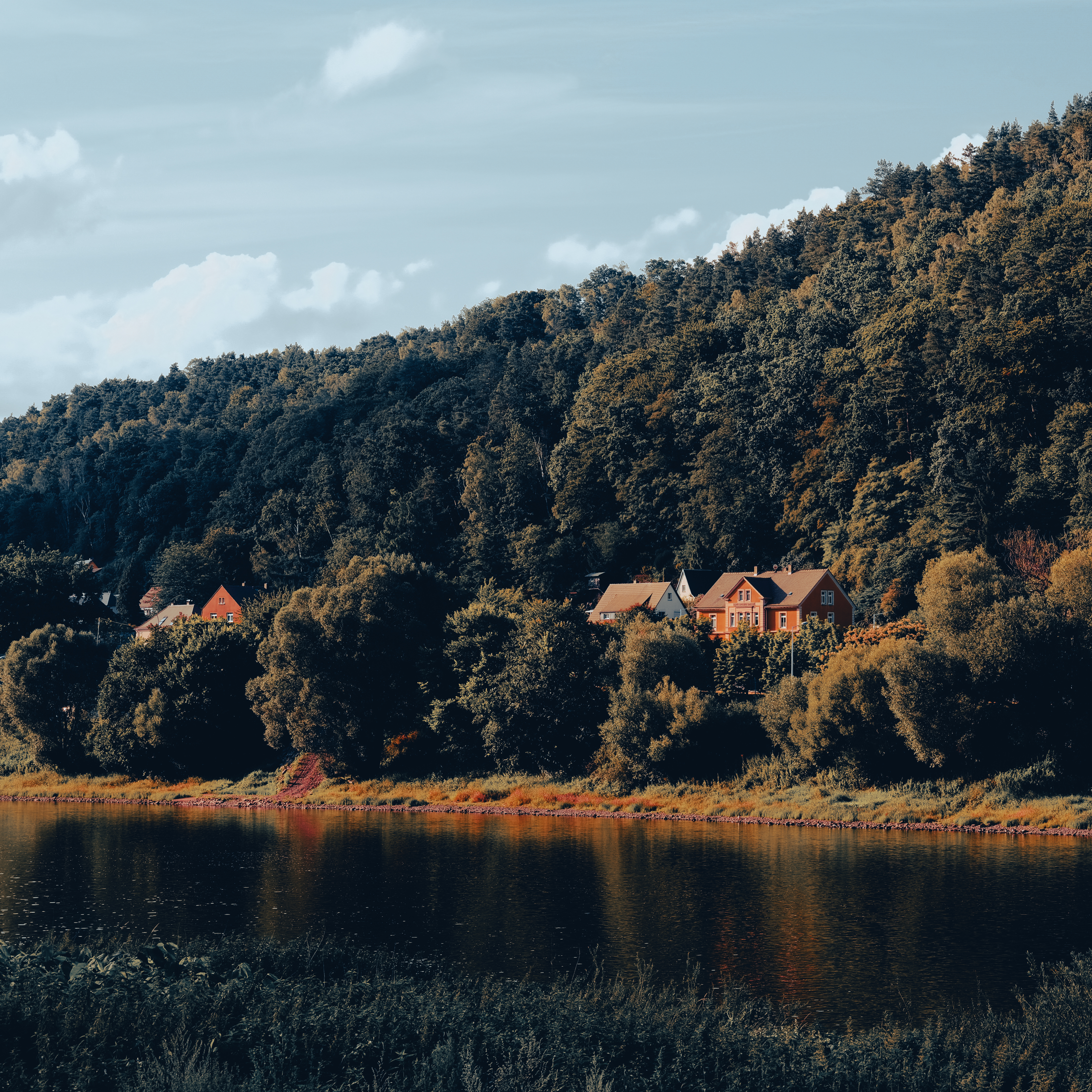 Houses on a forested hill overlooking a lake HD Wallpaper