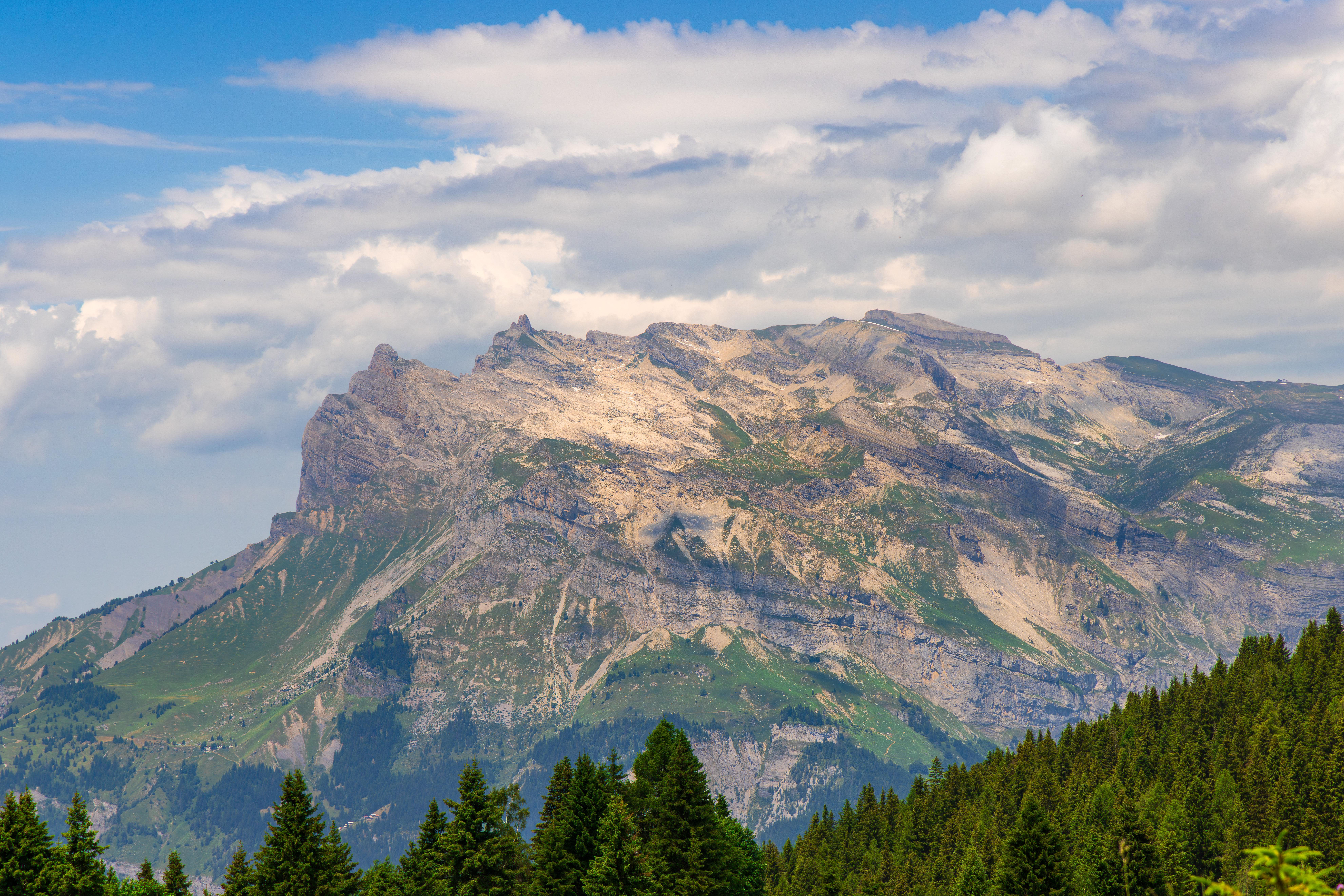 Rocky mountain range with pine trees and clouds HD Wallpaper