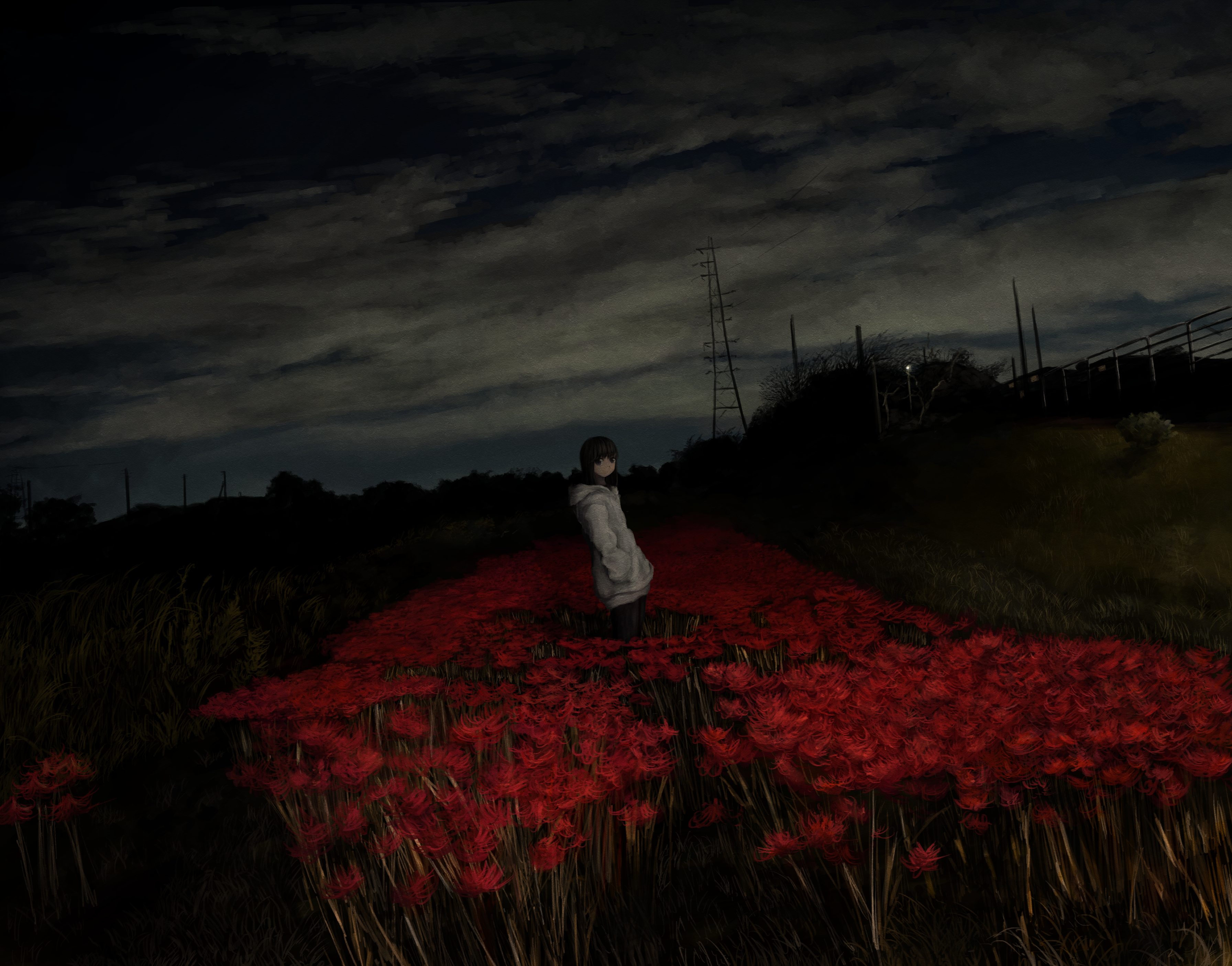 Anime girl in a field of red spider lilies at night HD Wallpaper