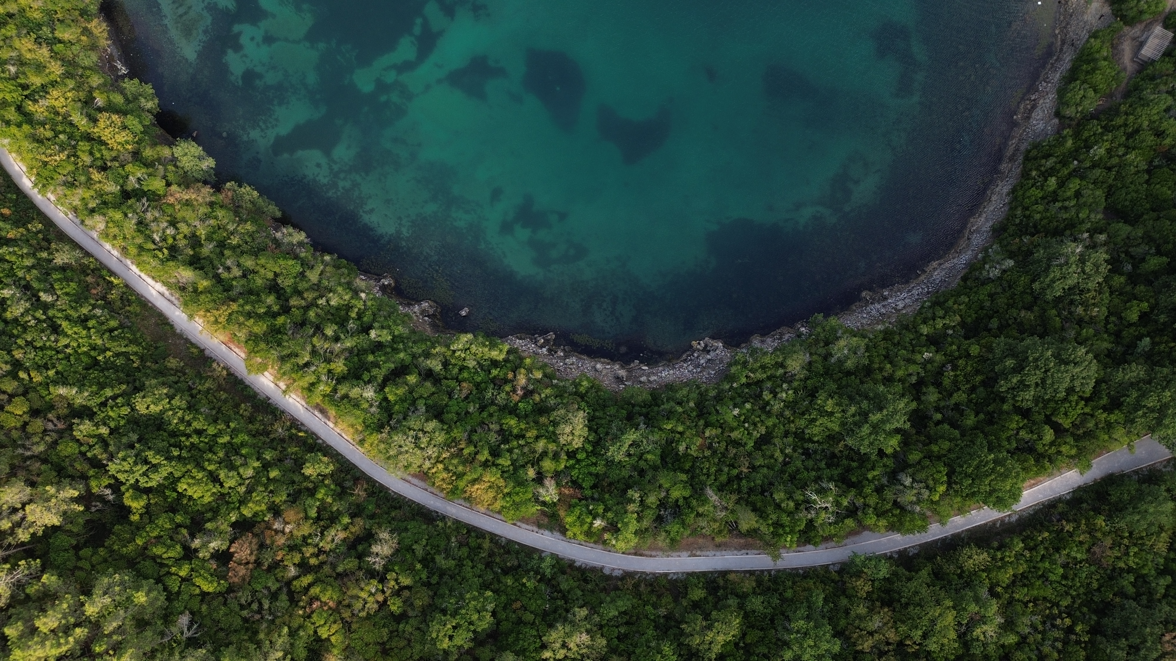 Aerial view of a winding road through a forest next to a bay HD Wallpaper