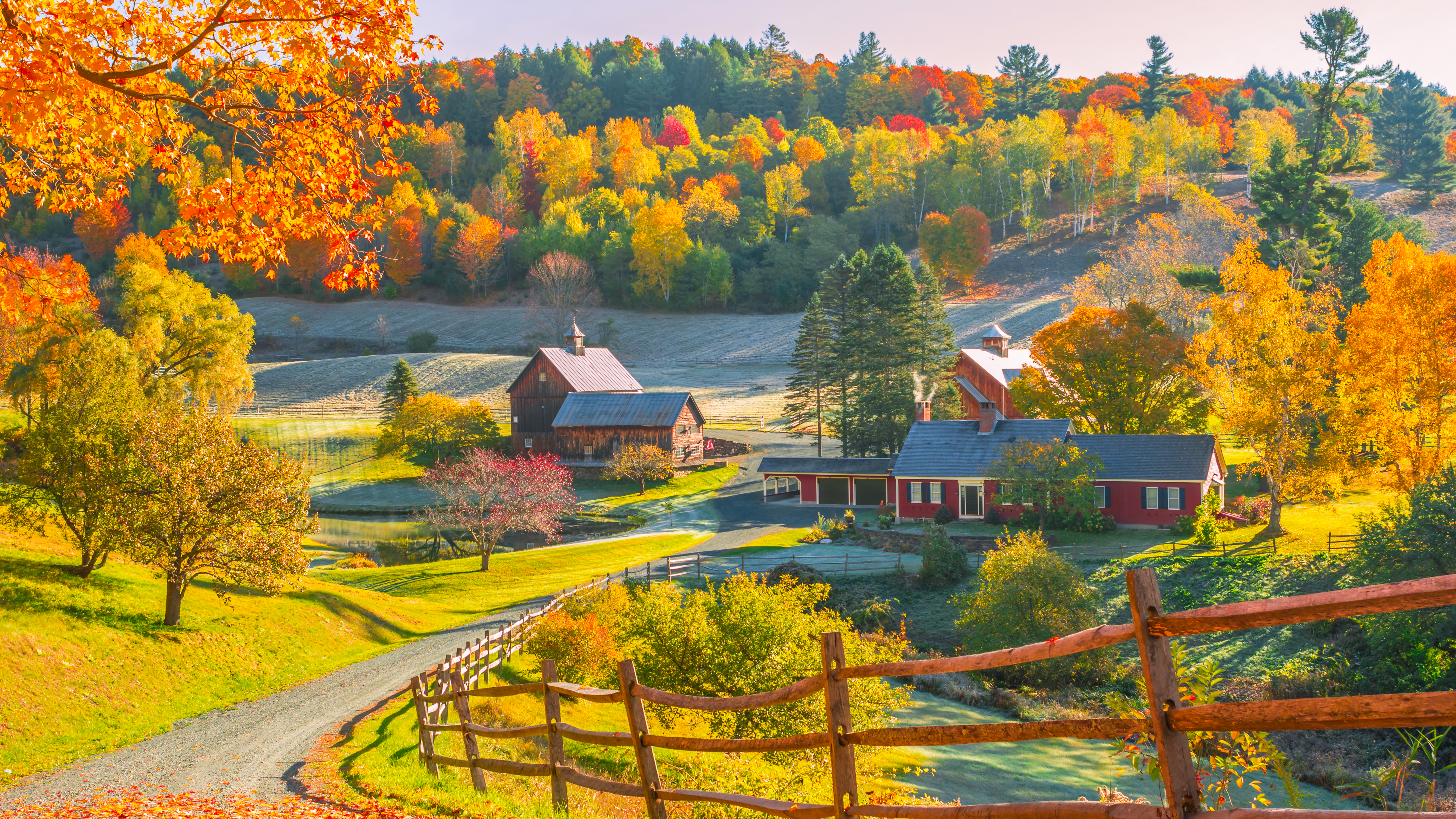 Autumn farm with colorful trees and a winding road HD Wallpaper