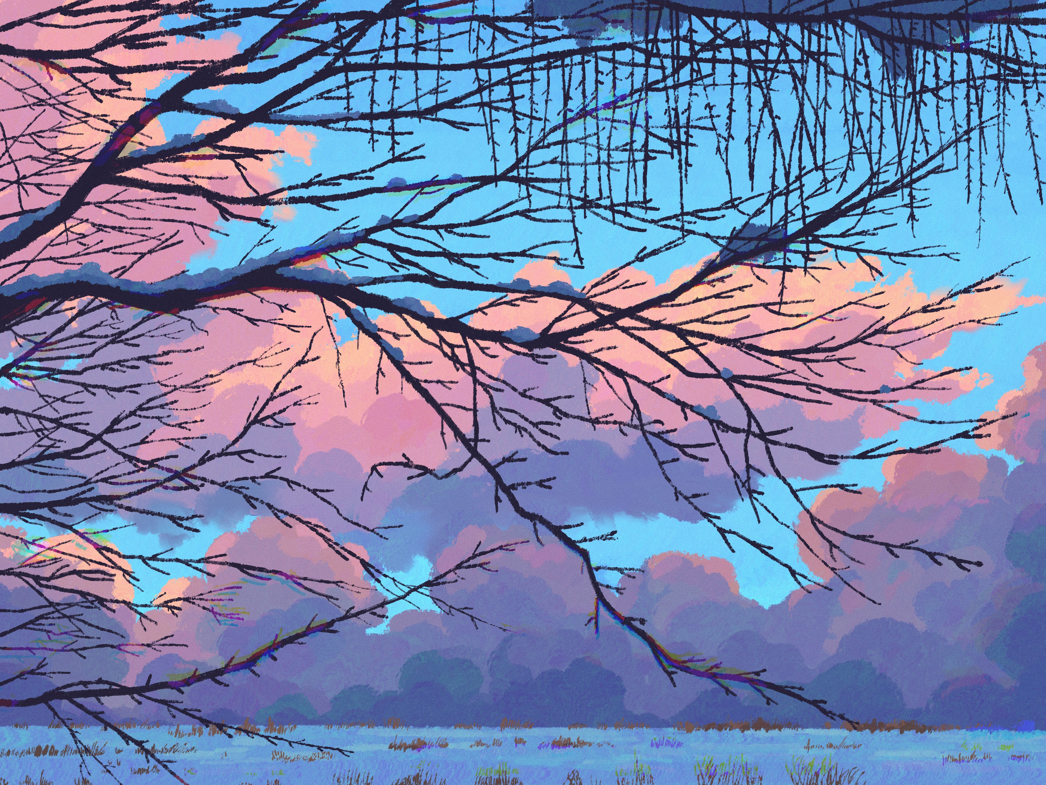 Scenery of bare branches against a sunset sky with clouds HD Wallpaper