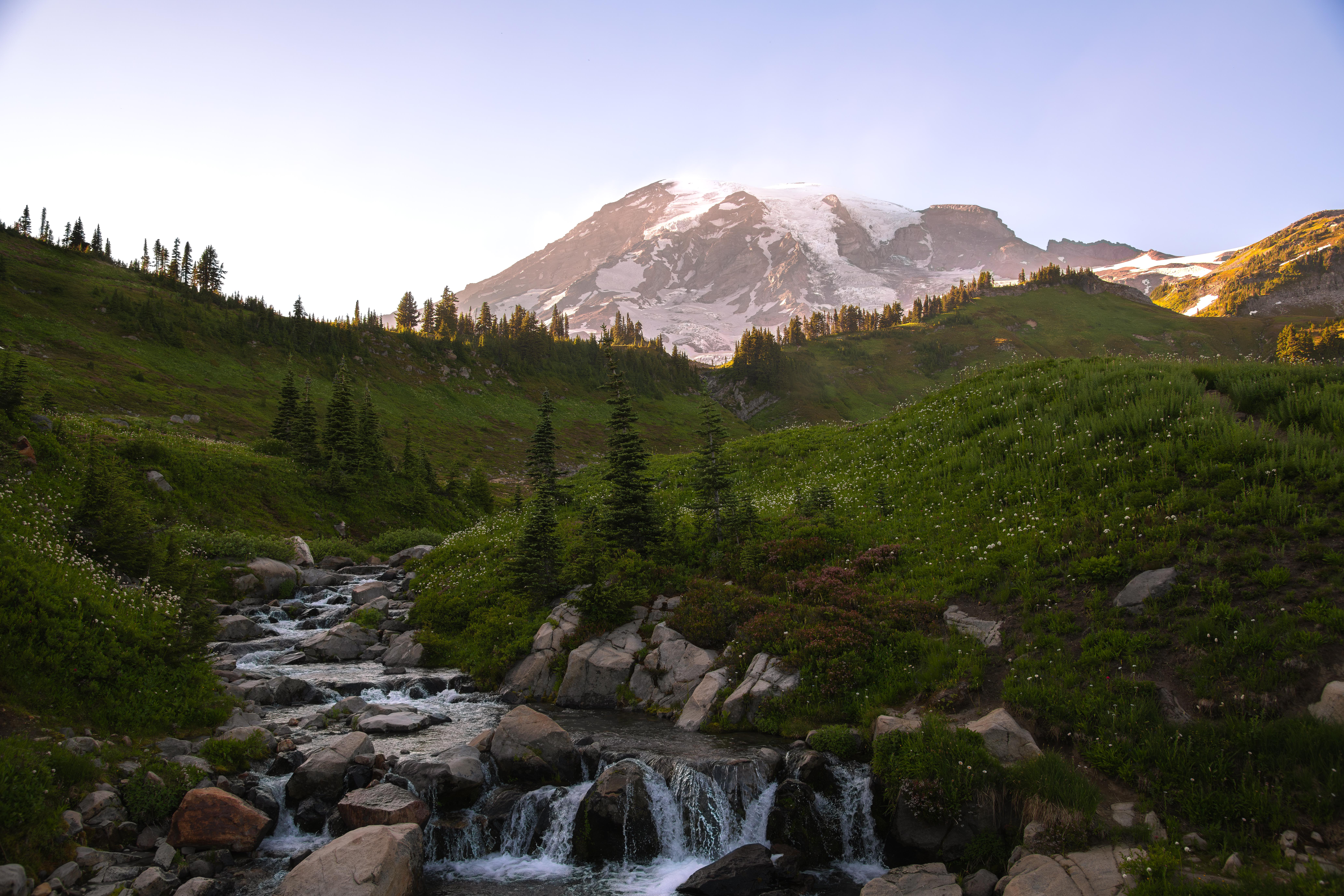 Mount Rainier with a stream in the foreground HD Wallpaper
