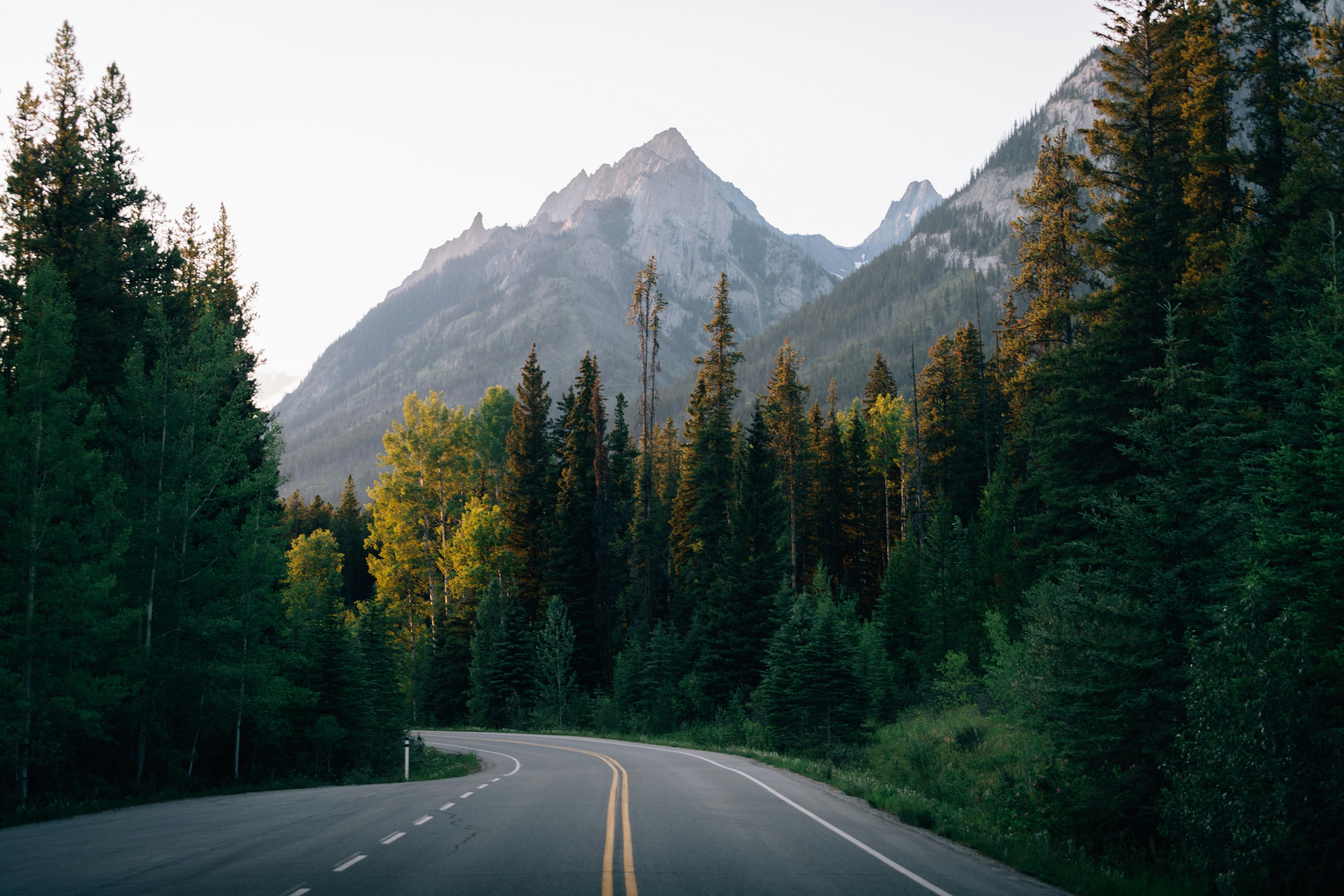 Winding Road Through Forest Towards Mountains HD Wallpaper