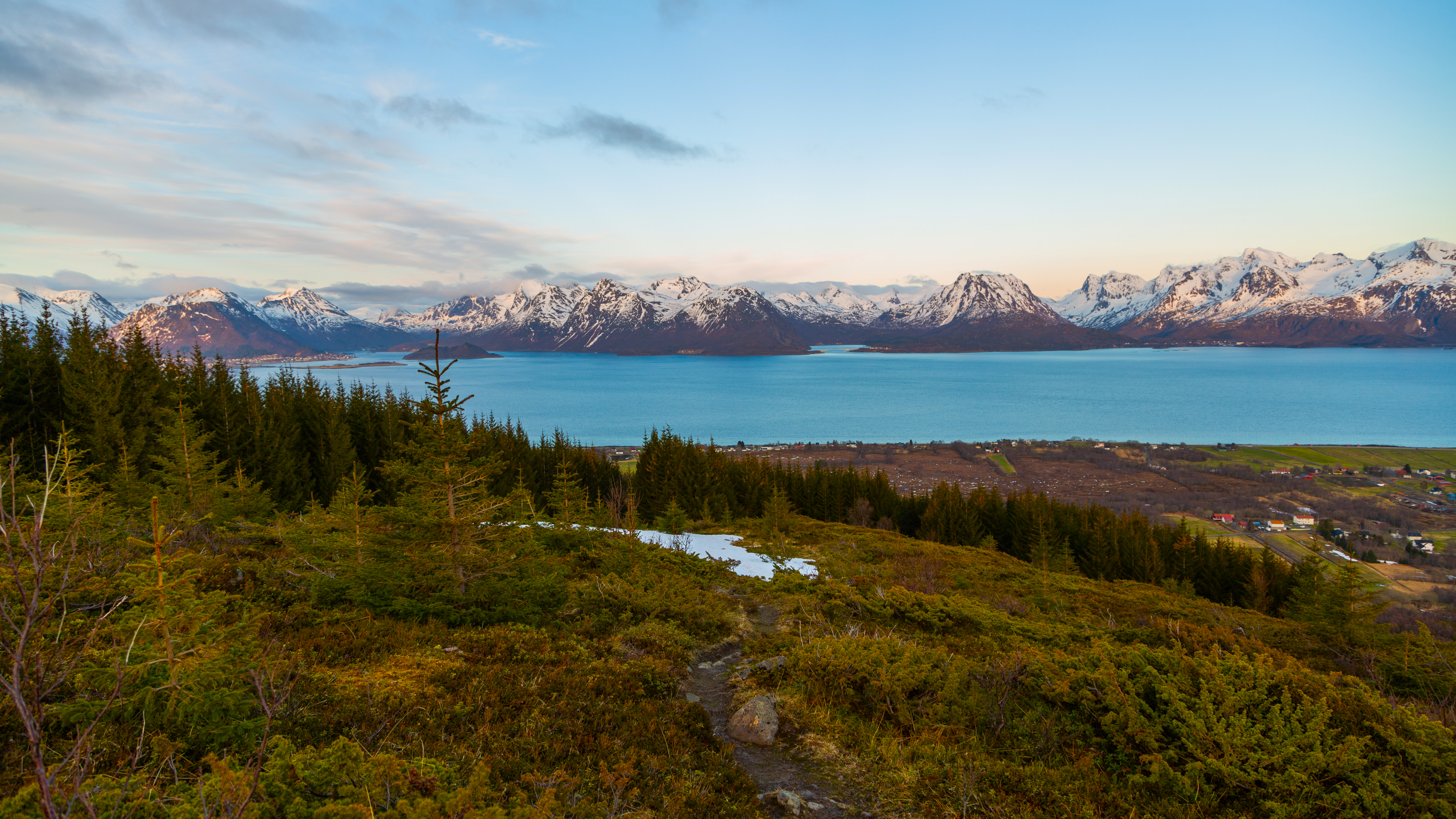 Snow-capped mountains over a blue fjord with trees in foreground HD Wallpaper