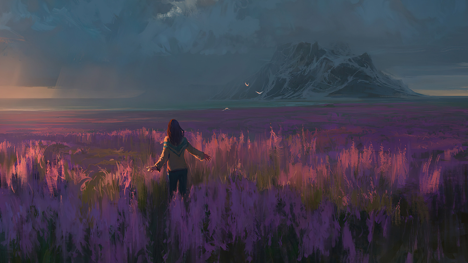 Fantasy girl in a field of purple flowers HD Wallpaper