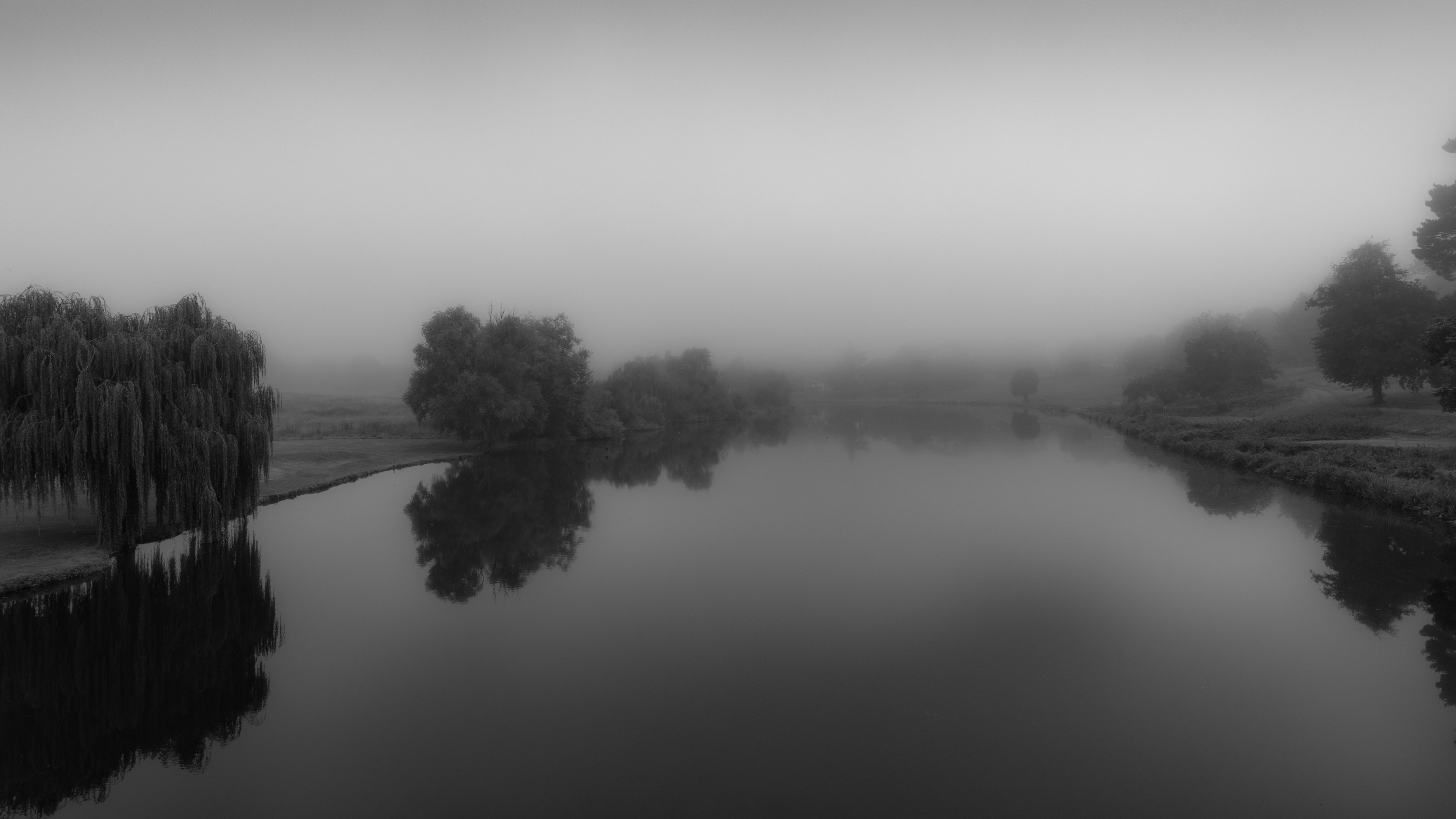 Misty river with trees and reflections HD Wallpaper