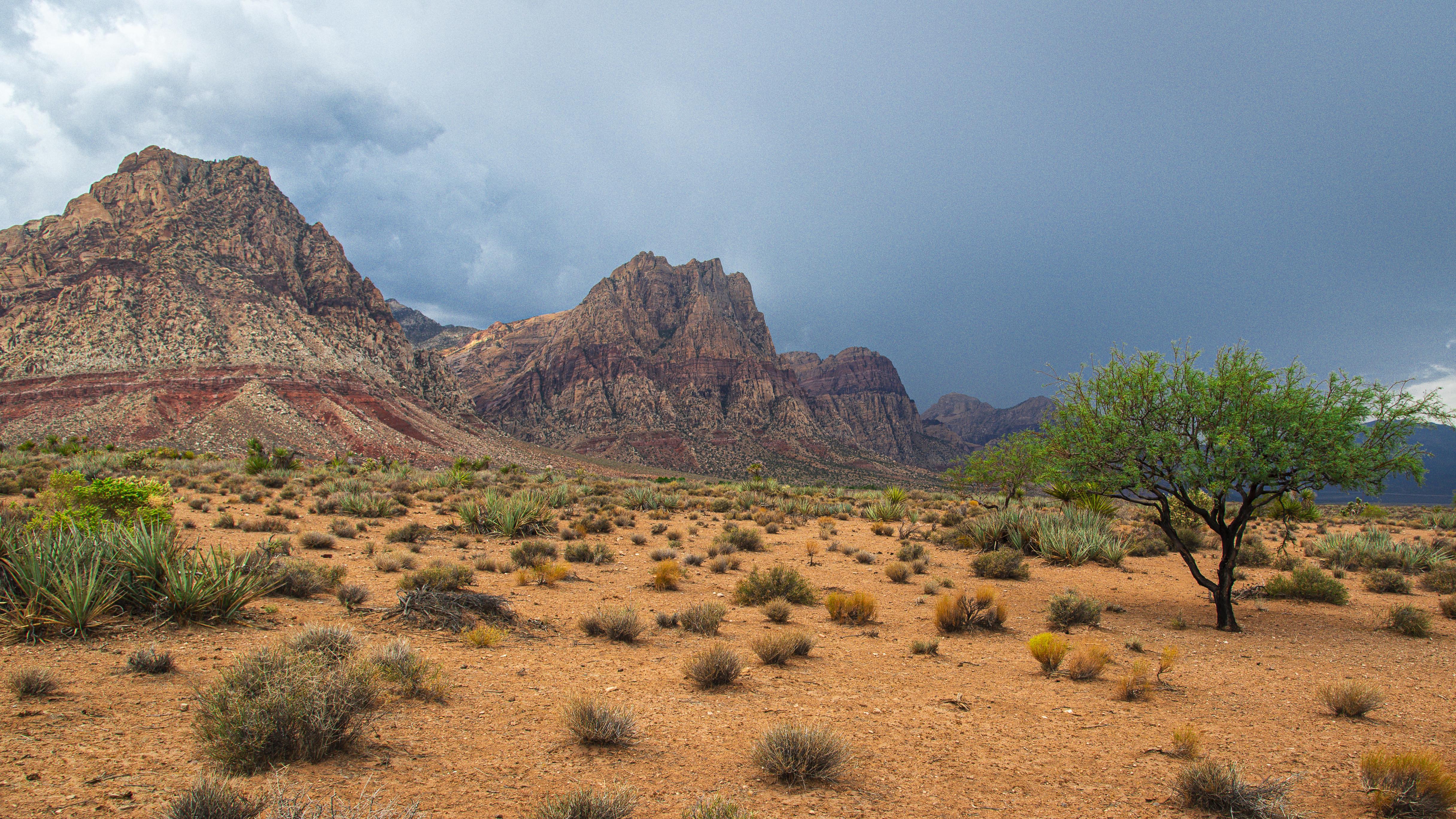 Desert landscape with mountains and approaching rain HD Wallpaper