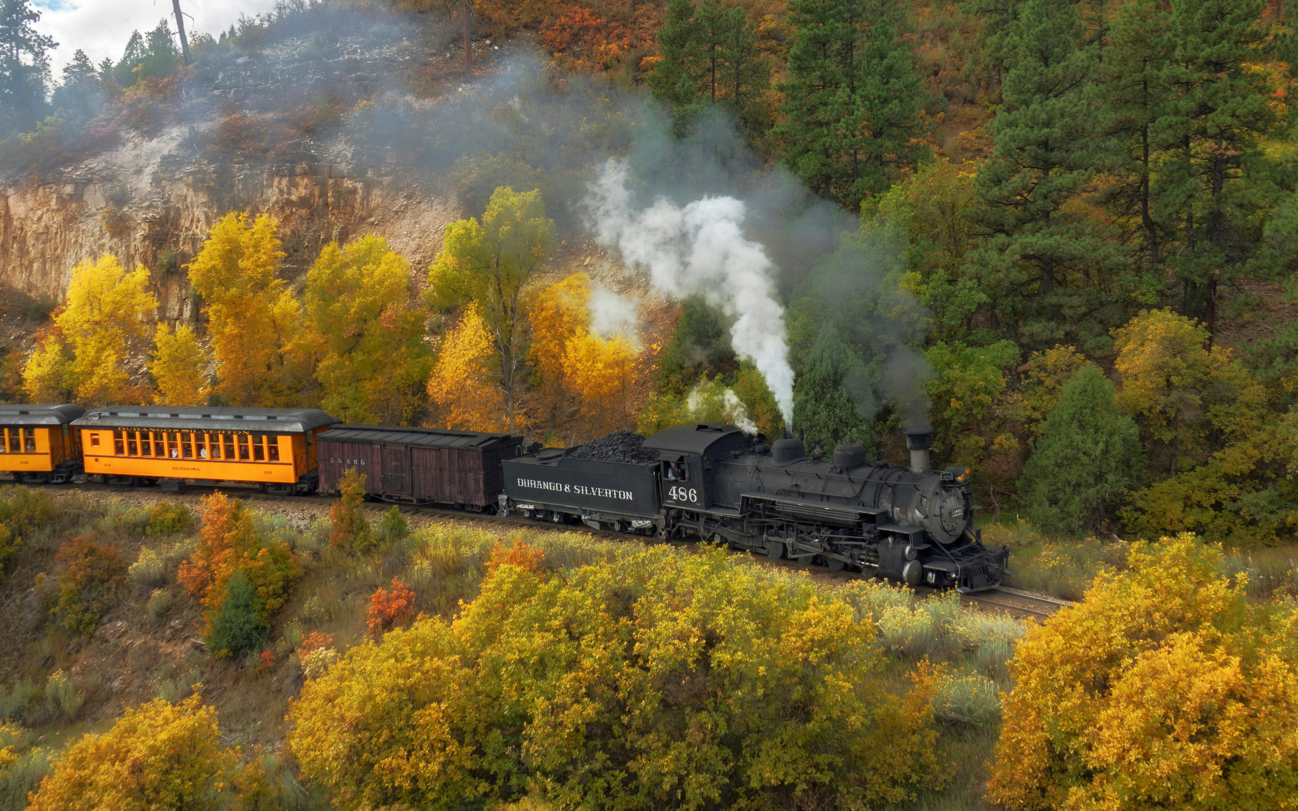 Steam train travels through autumn forest HD Wallpaper