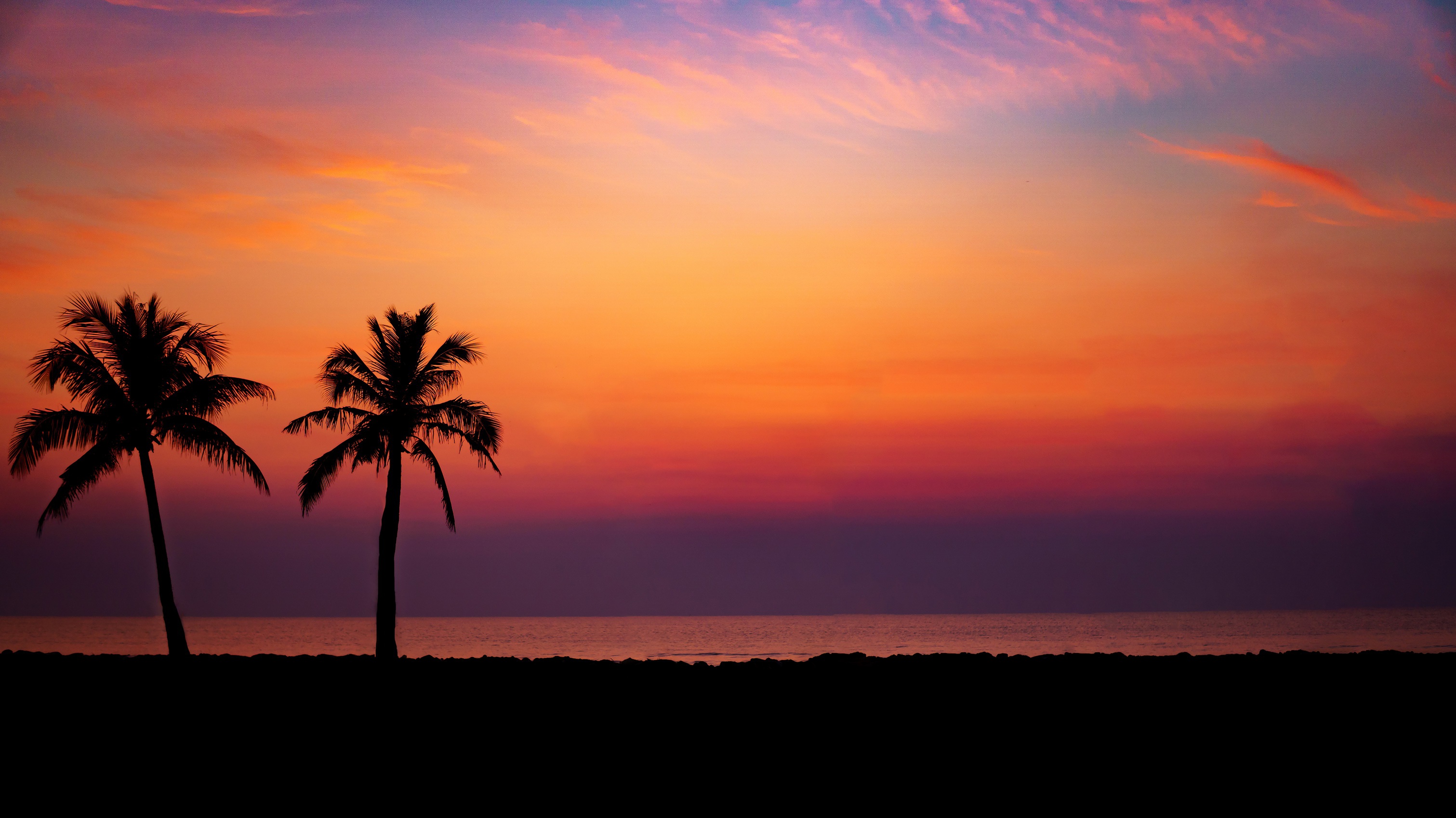 Tropical beach sunset with palm trees silhouette HD Wallpaper