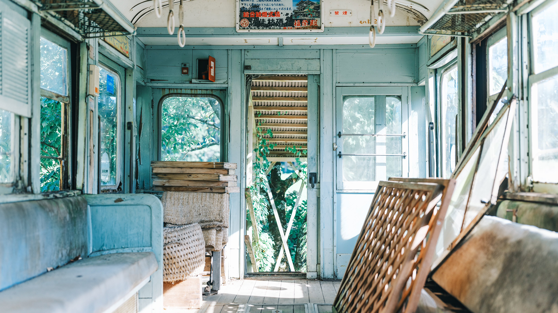 Abandoned Japanese train interior with plants HD Wallpaper