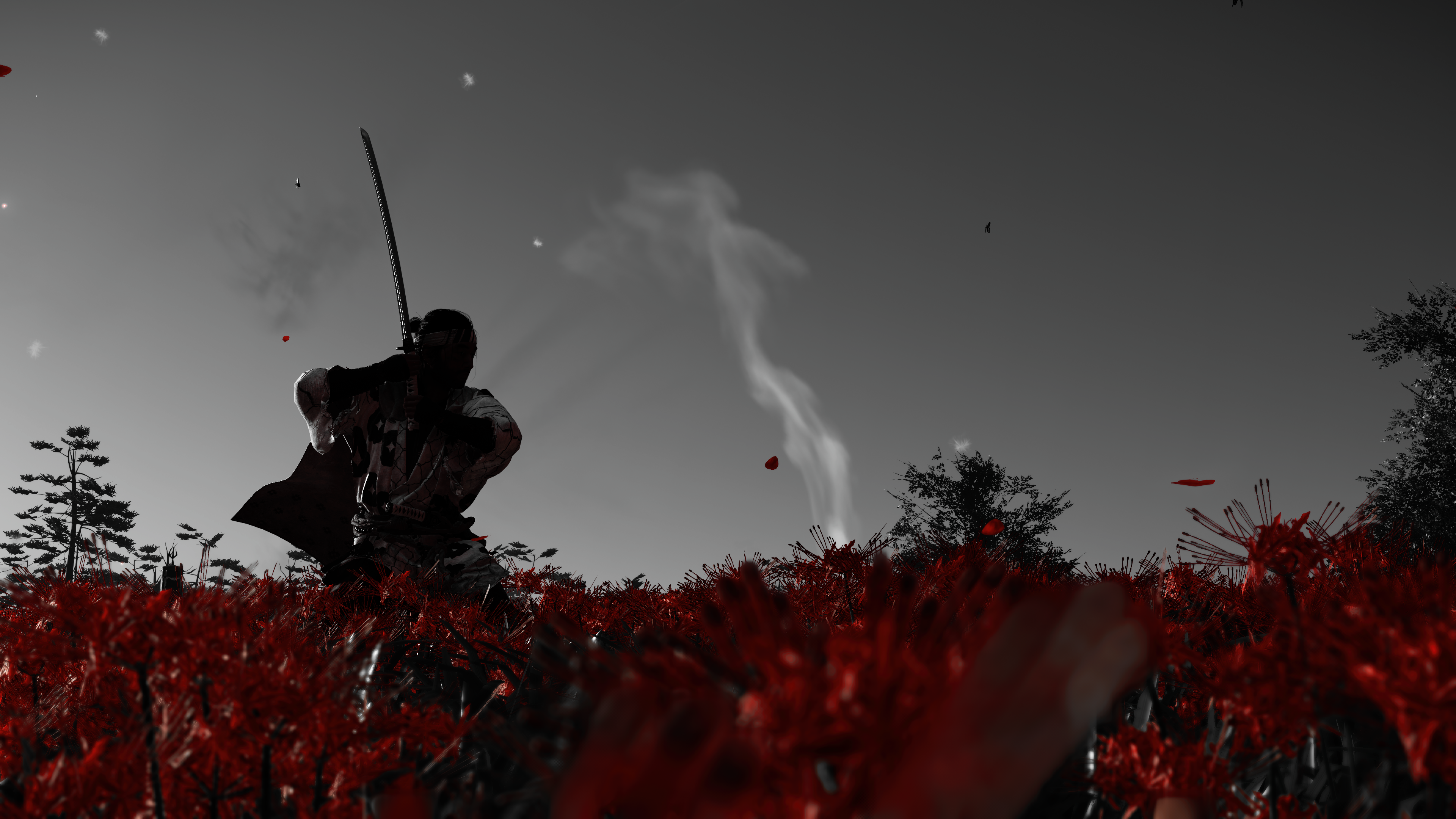 Ghost of Tsushima: Jin Sakai in a field of red flowers HD Wallpaper