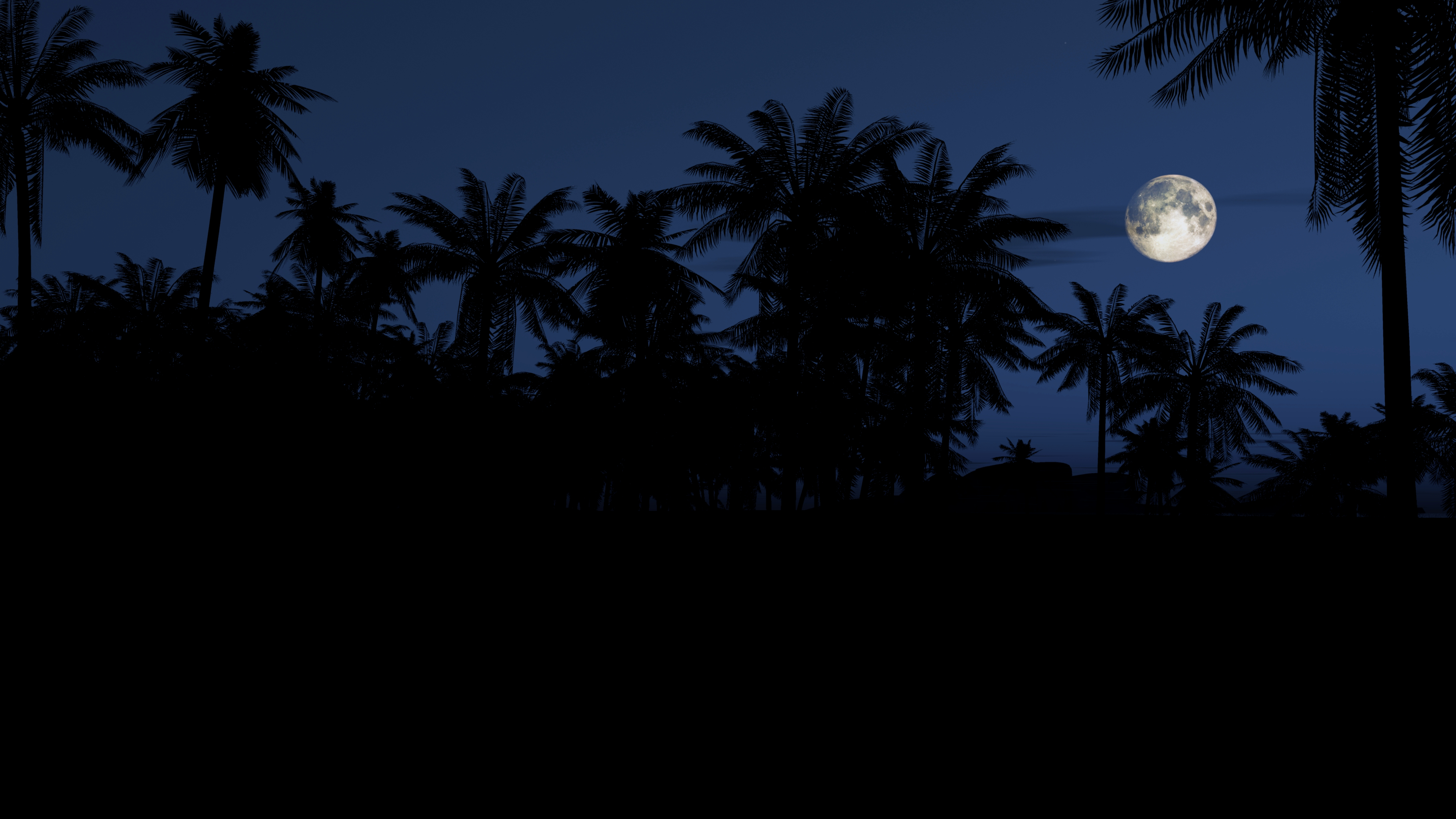Full moon over silhouette of palm trees at night HD Wallpaper