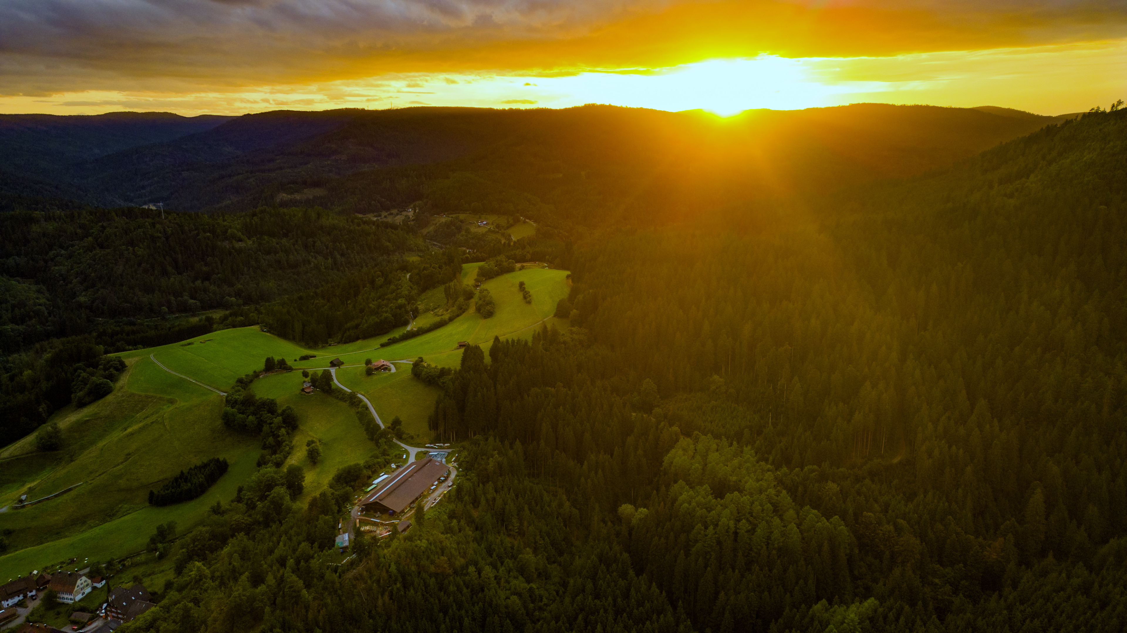 Drone photo of a sunlit forest landscape with a house HD Wallpaper