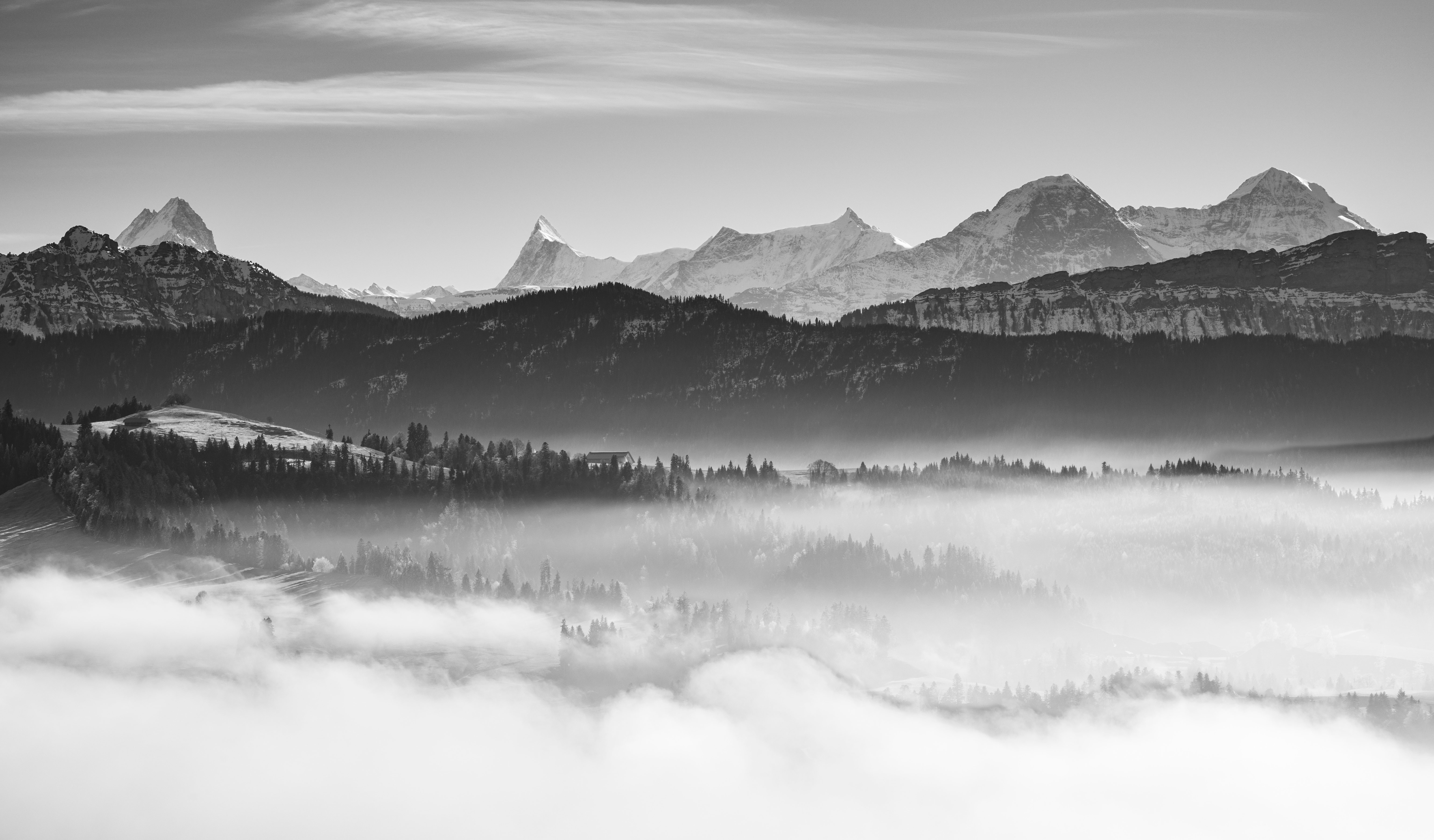Monochrome mountain landscape with fog and trees HD Wallpaper