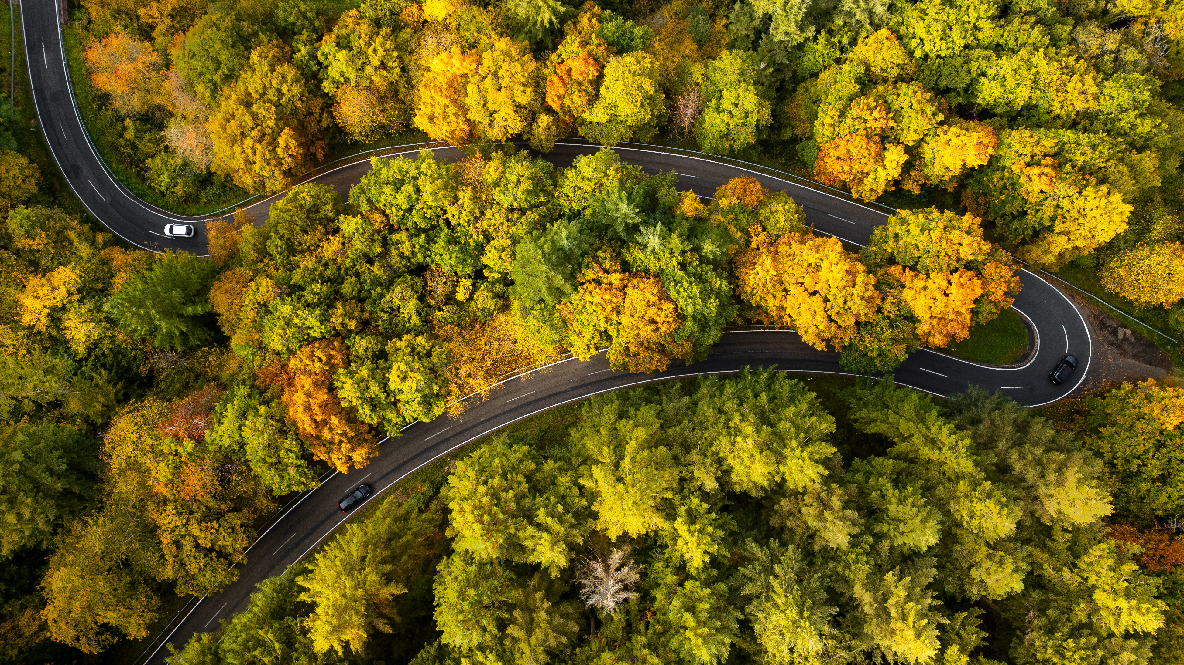Cars on a winding road through an autumn forest HD Wallpaper