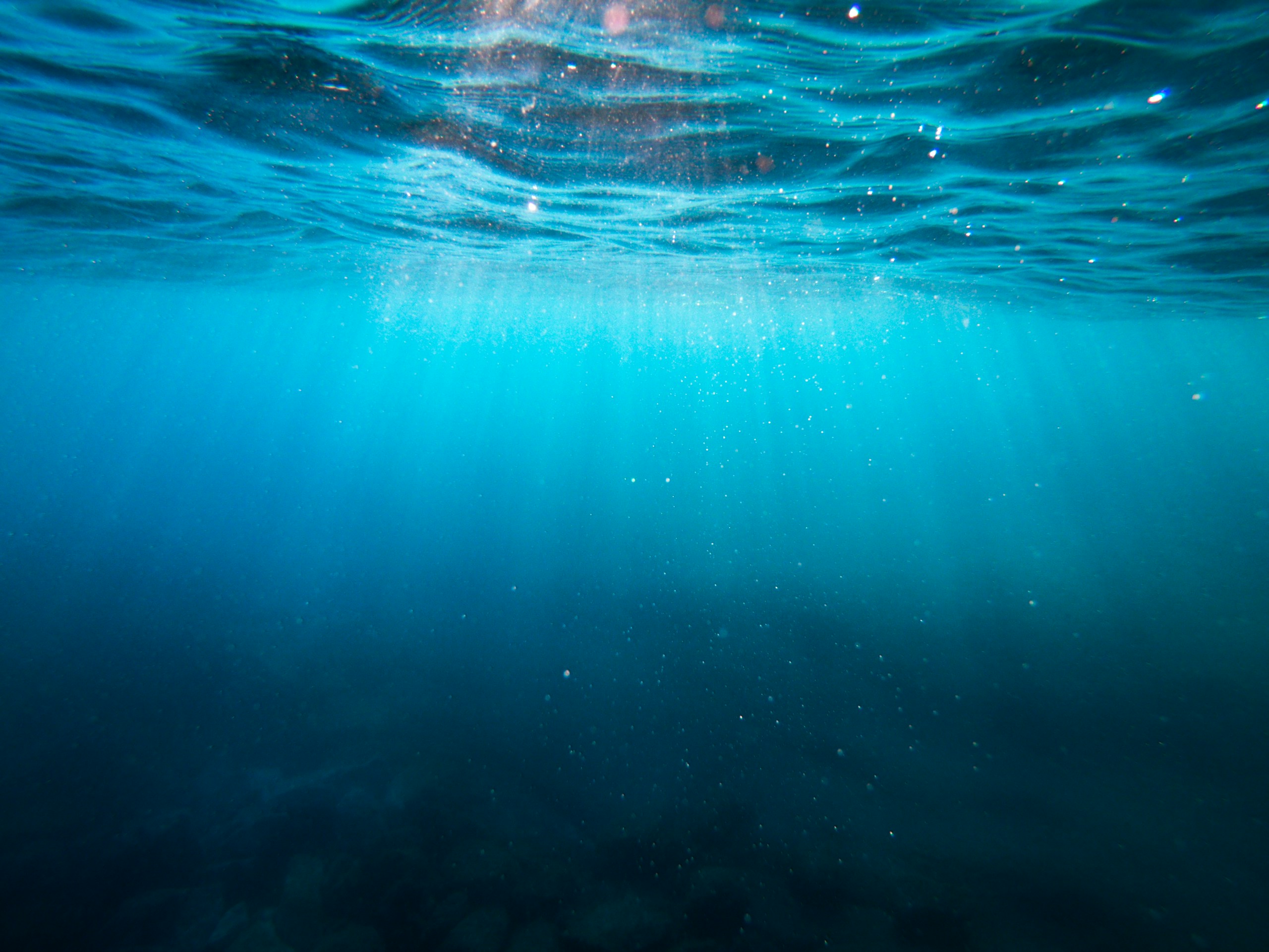 Underwater view of sunlight filtering through blue ocean water HD Wallpaper