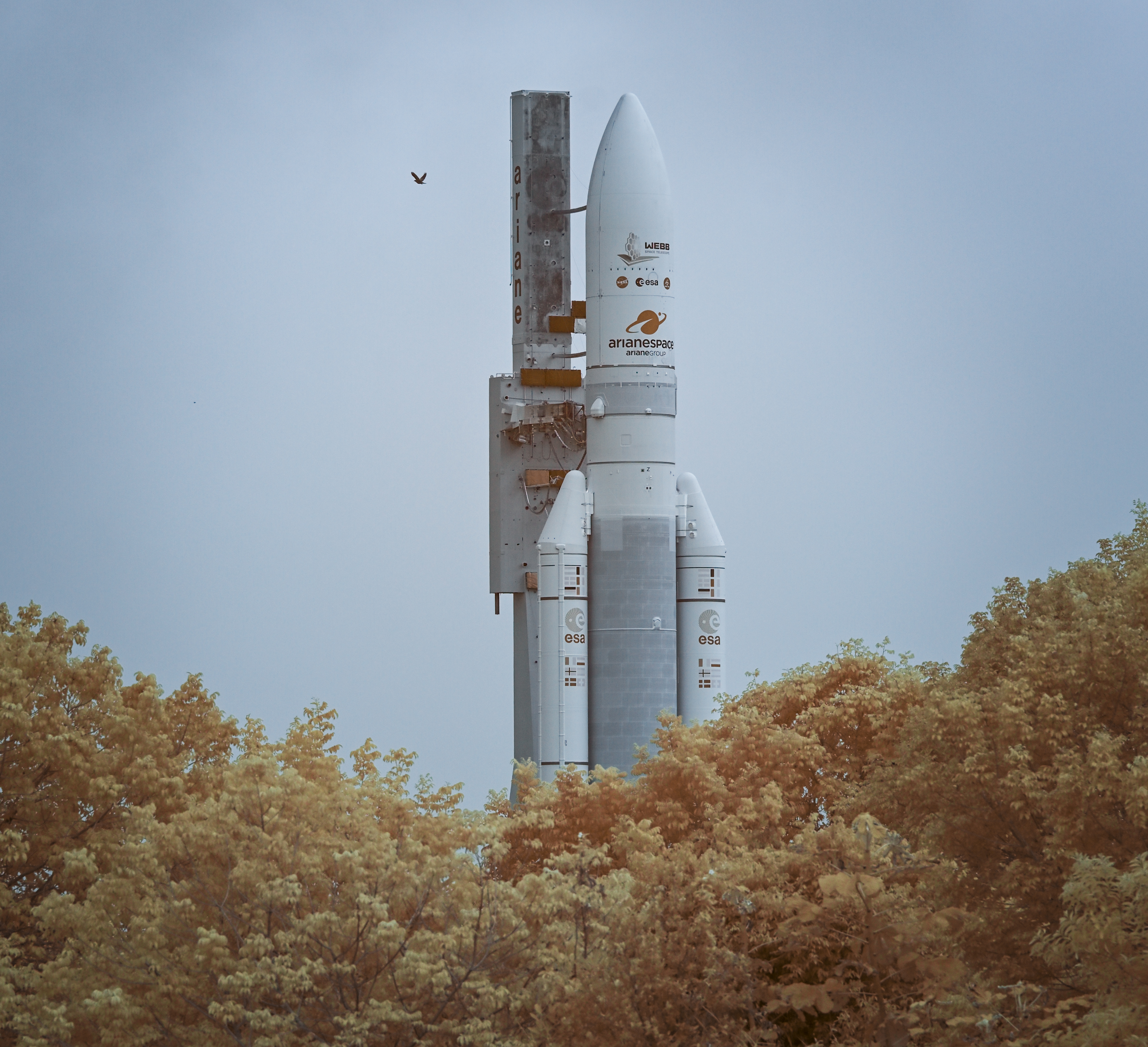 Ariane 5 Rocket with James Webb Space Telescope HD Wallpaper