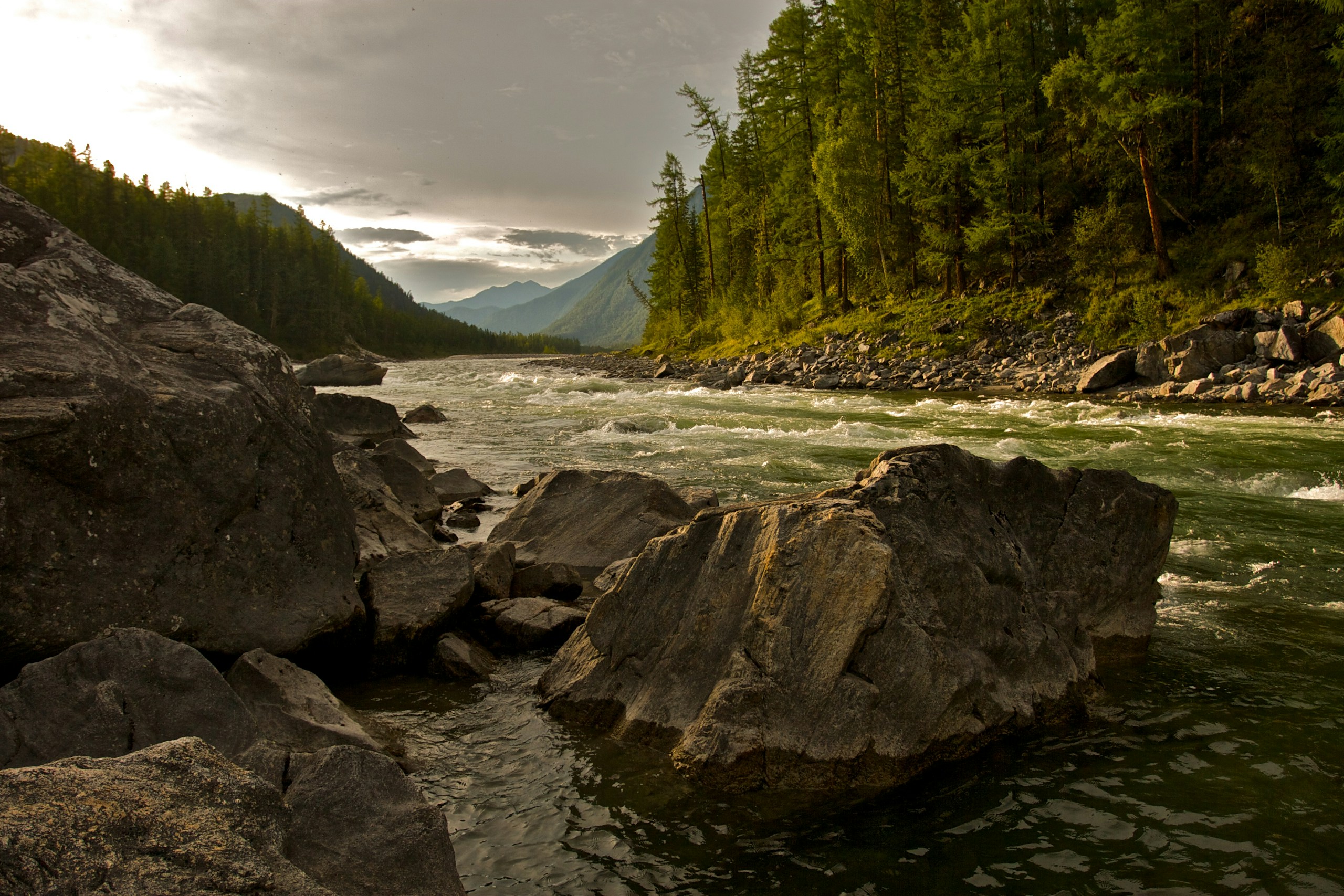 Rushing river flowing past large rocks and pine forest HD Wallpaper
