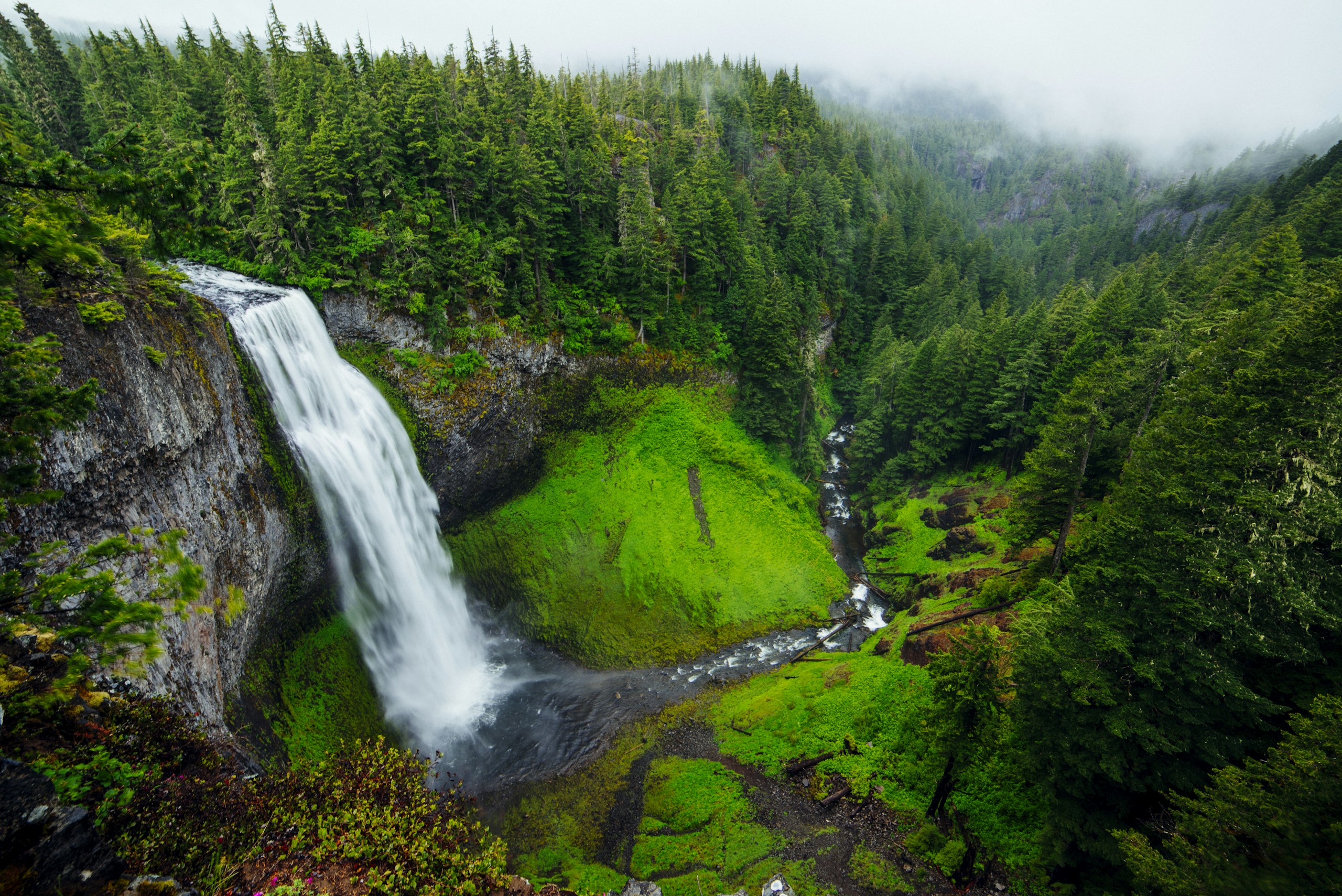 Waterfall cascading into a lush green forest valley HD Wallpaper