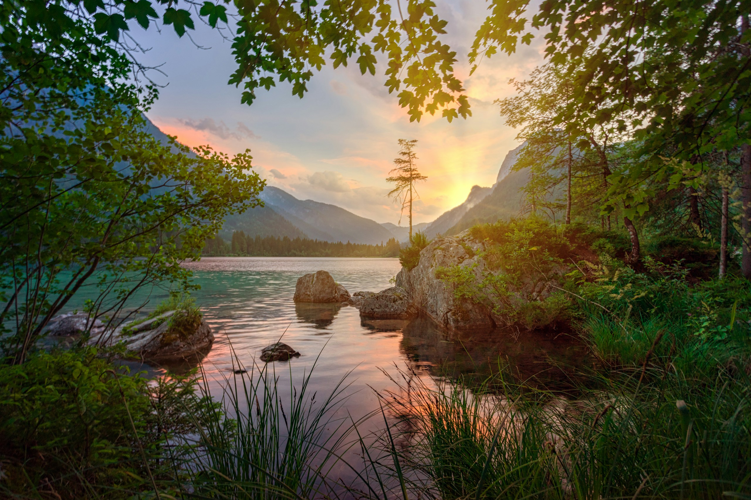 Scenic mountain lake at sunset framed by green trees HD Wallpaper