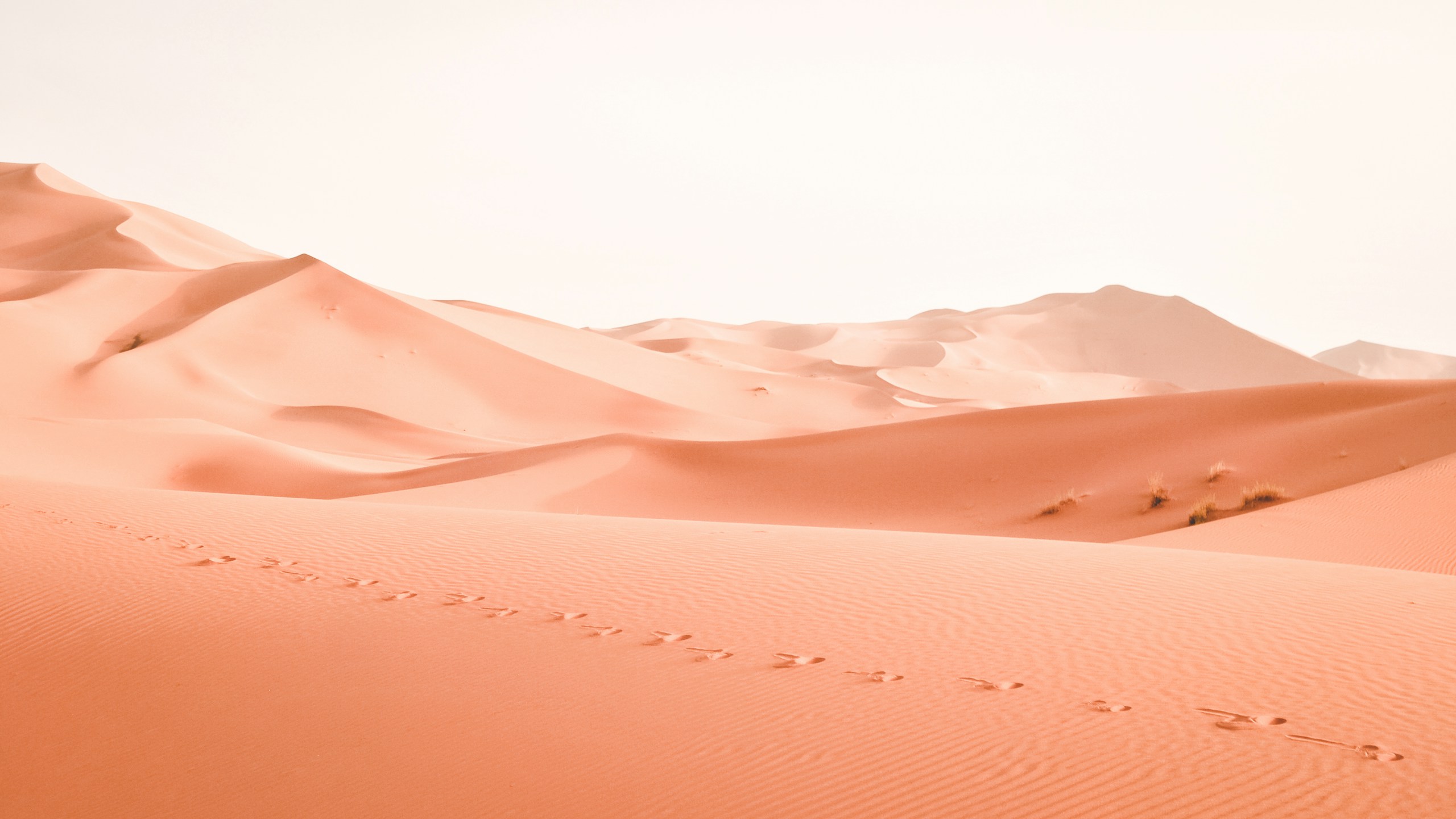 Footprints leading across orange sand dunes in a desert HD Wallpaper