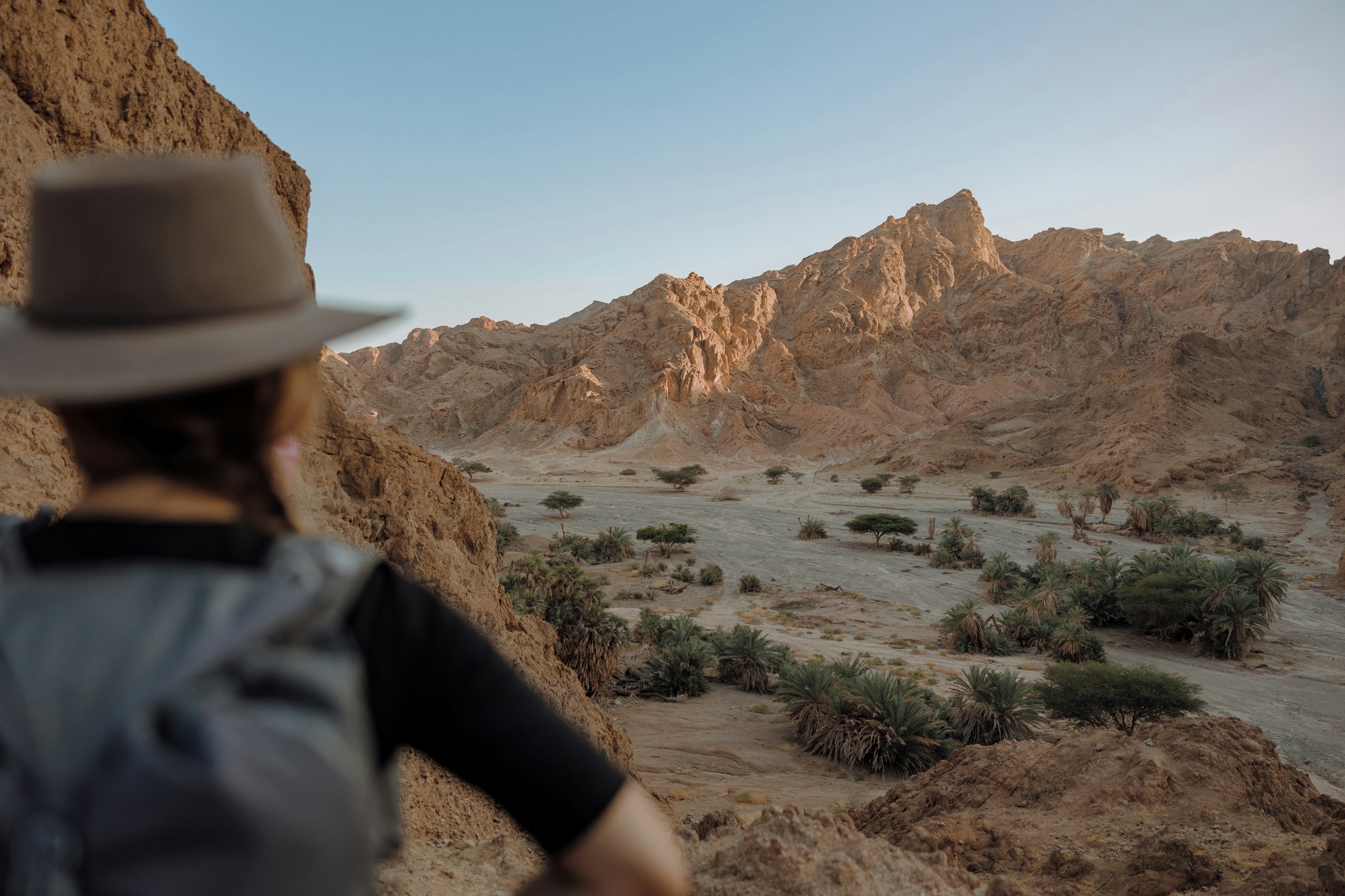 Hiker looking over NEOM Nature Reserve in Saudi Arabia HD Wallpaper