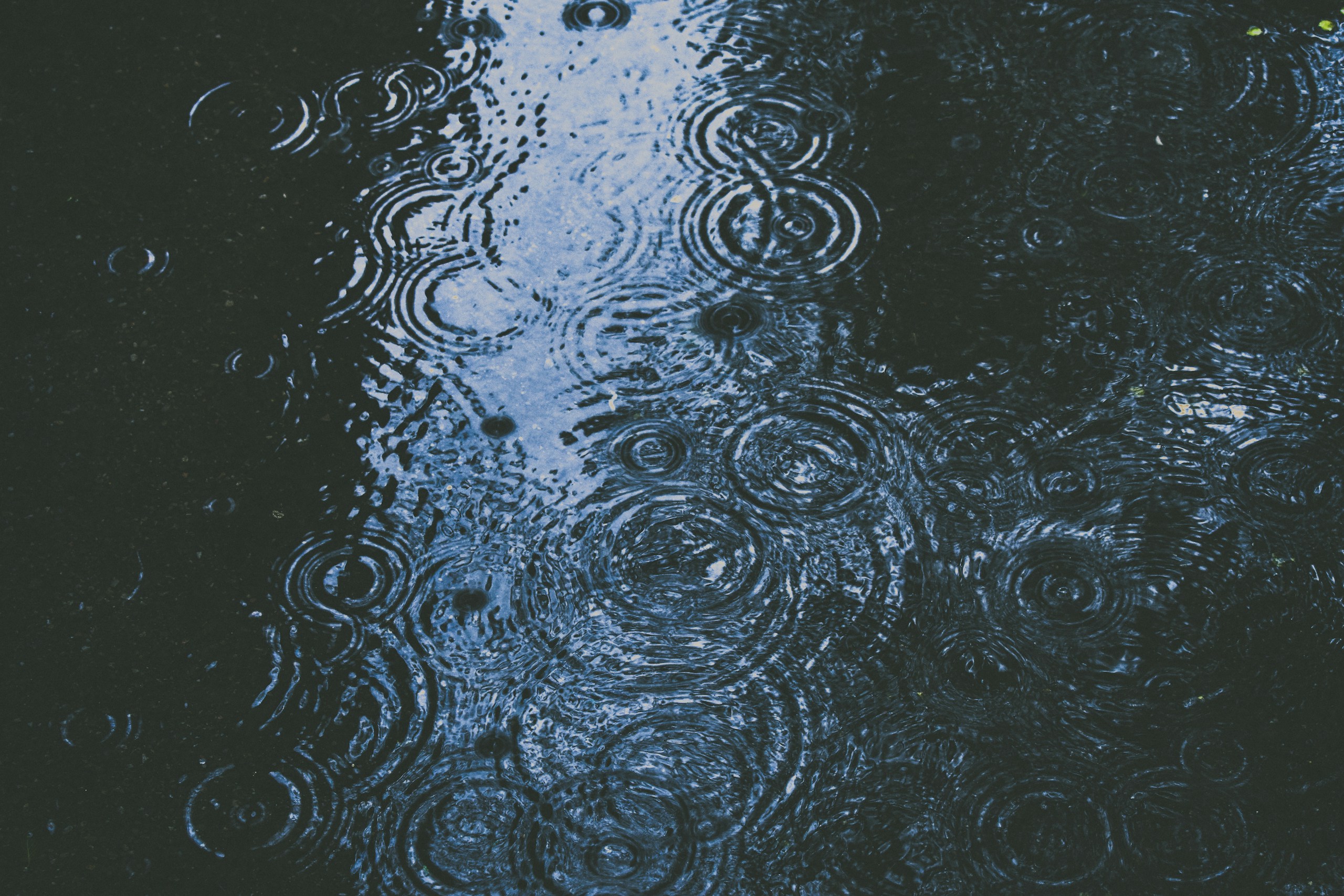 Raindrops creating ripples on a dark water surface HD Wallpaper