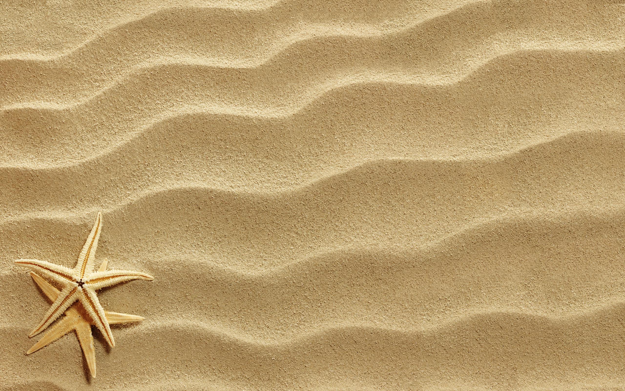 Two starfish on wavy beach sand HD Wallpaper