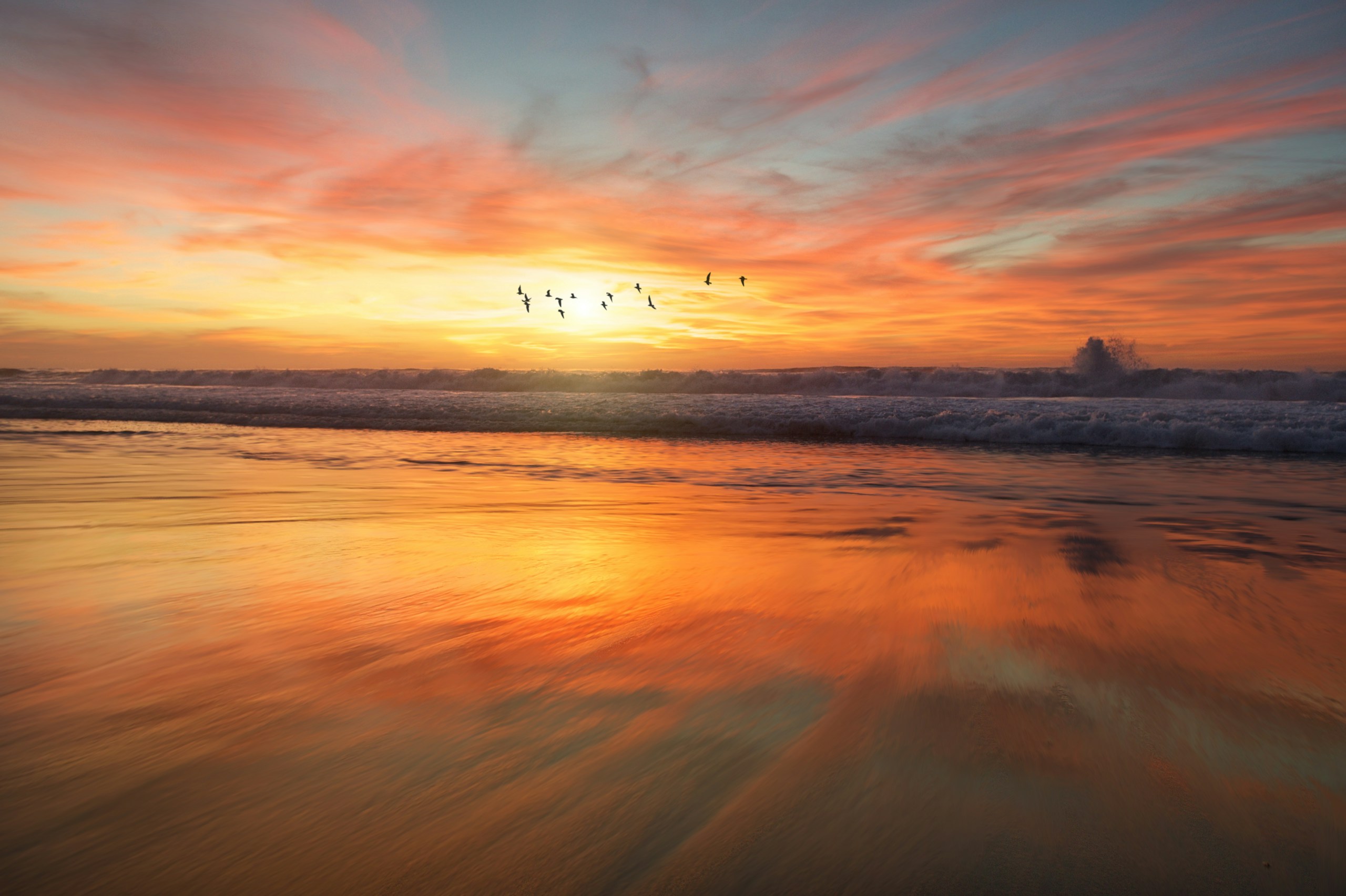 San Diego Beach Sunrise with Flying Birds HD Wallpaper
