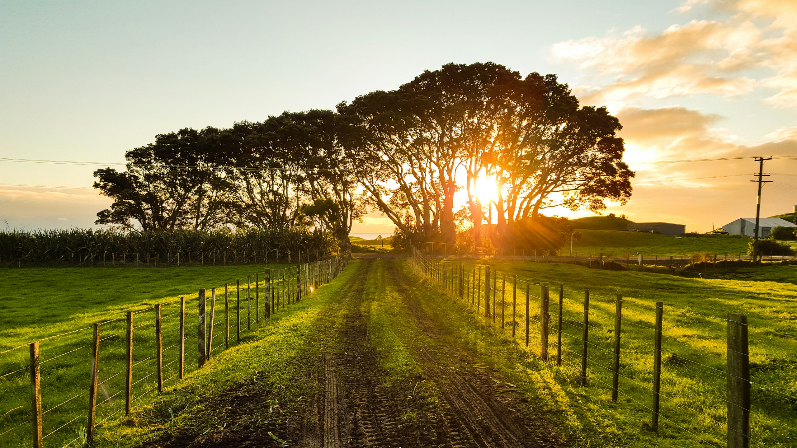 Country road between wooden fences at sunset HD Wallpaper