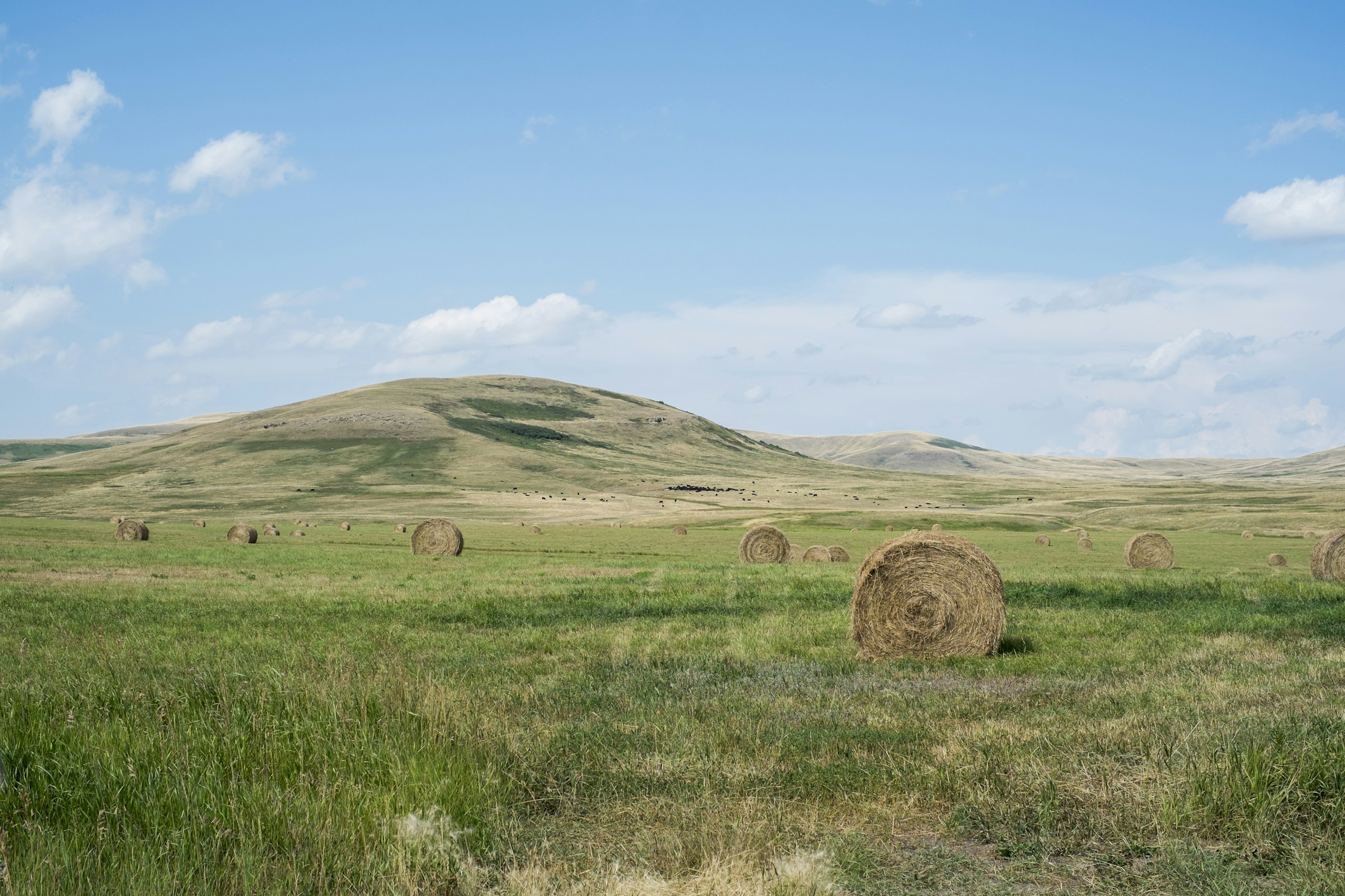Round Hay Bales on a Grassy Field with Hills HD Wallpaper
