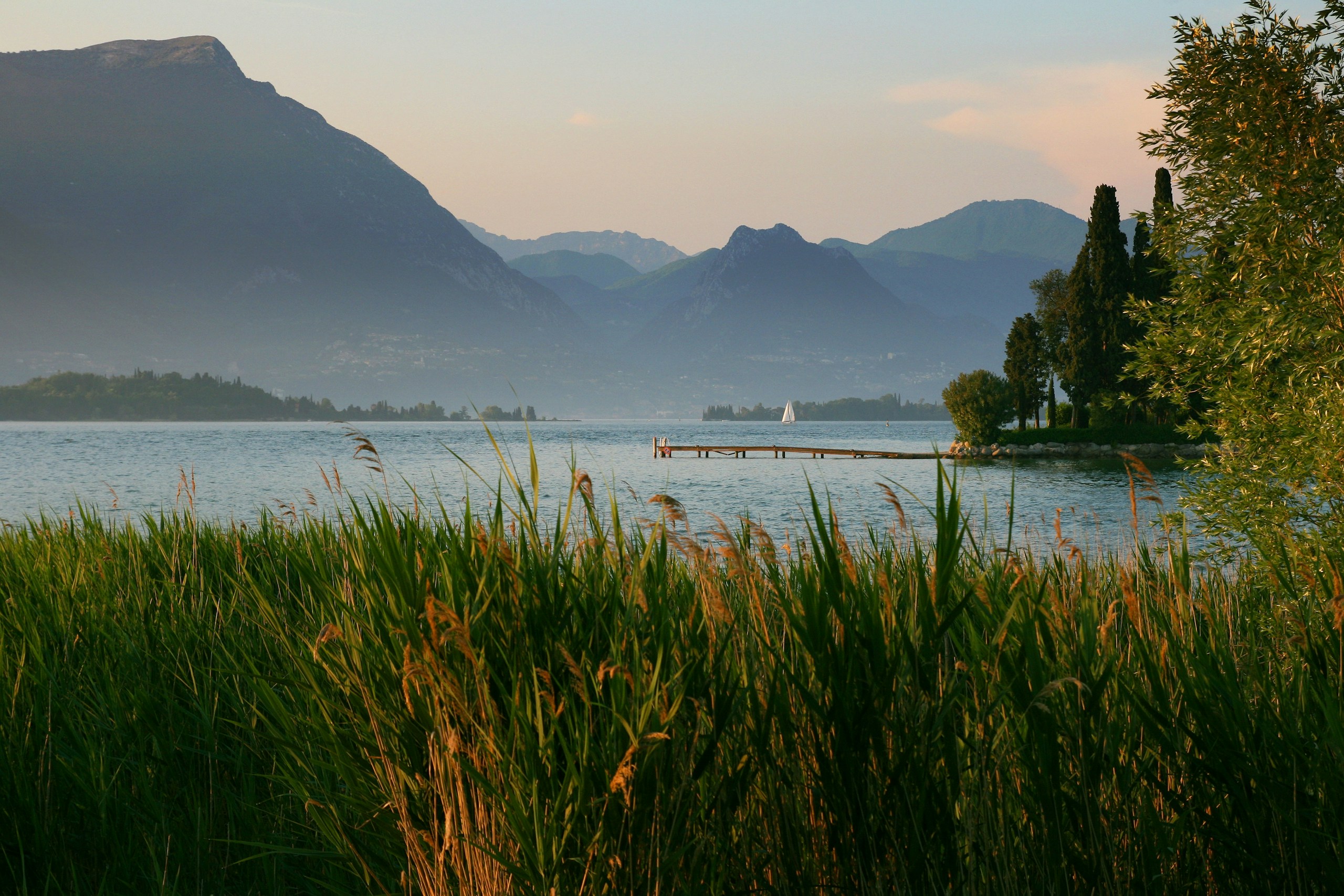 Tranquil lake with mountains and foreground reeds HD Wallpaper