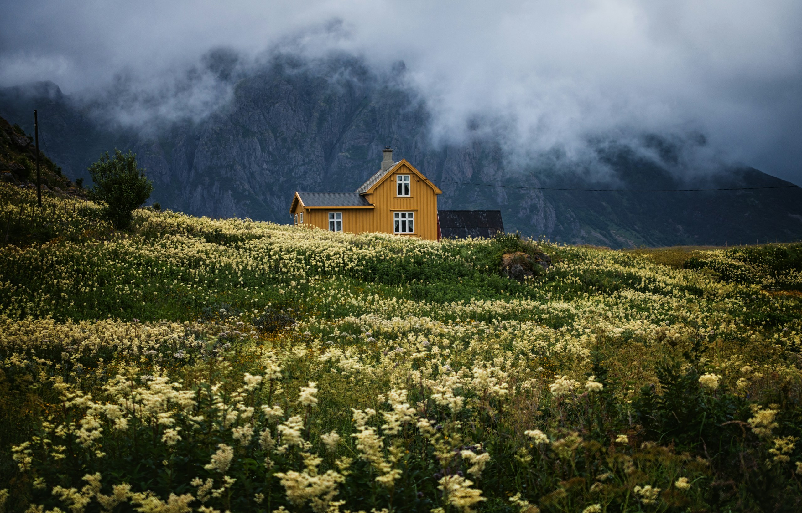 Yellow house on a flower-covered hill under misty mountains HD Wallpaper