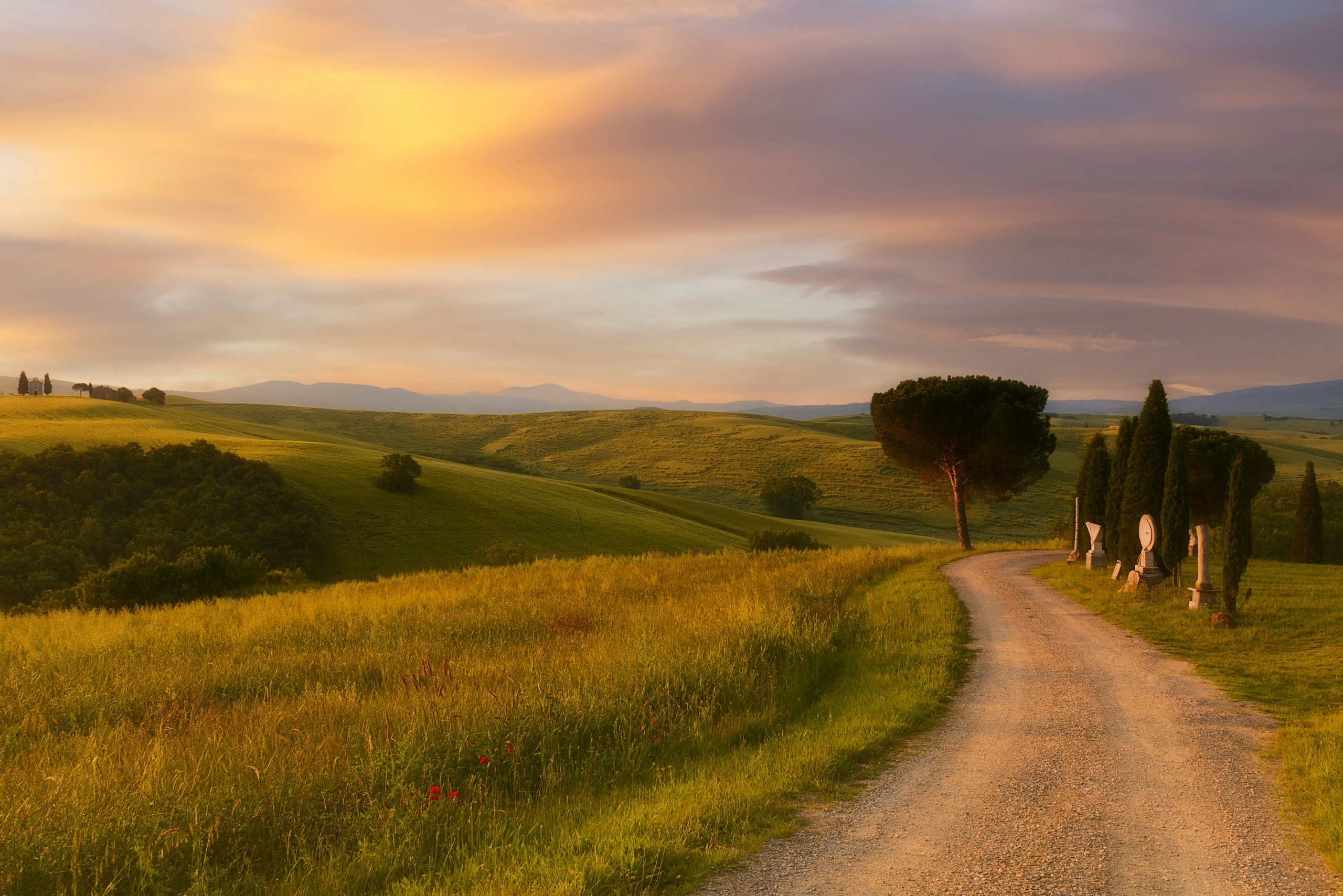 Dirt road winding through rolling hills of Tuscany HD Wallpaper