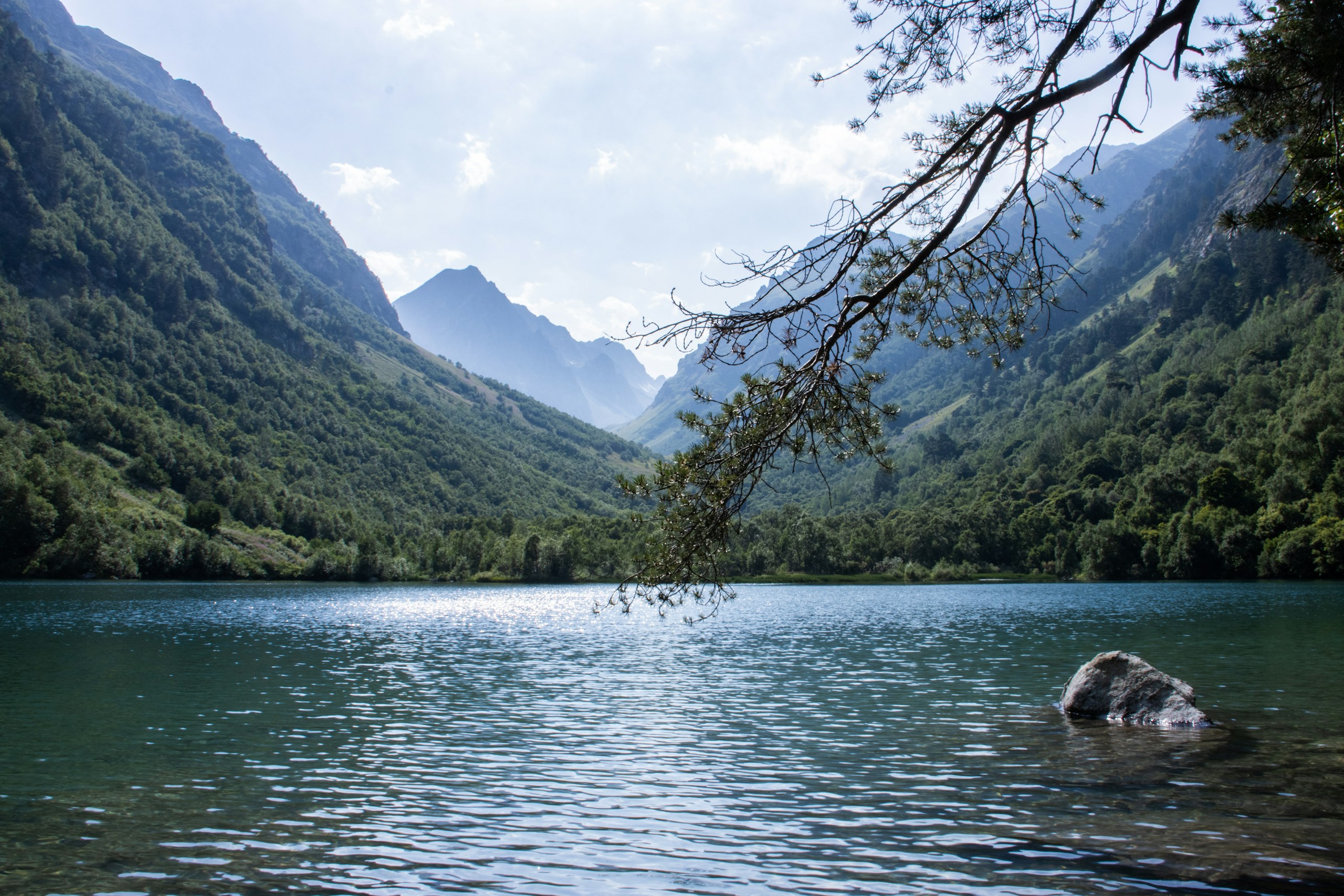 Mountain Lake Surrounded by Forested Slopes HD Wallpaper