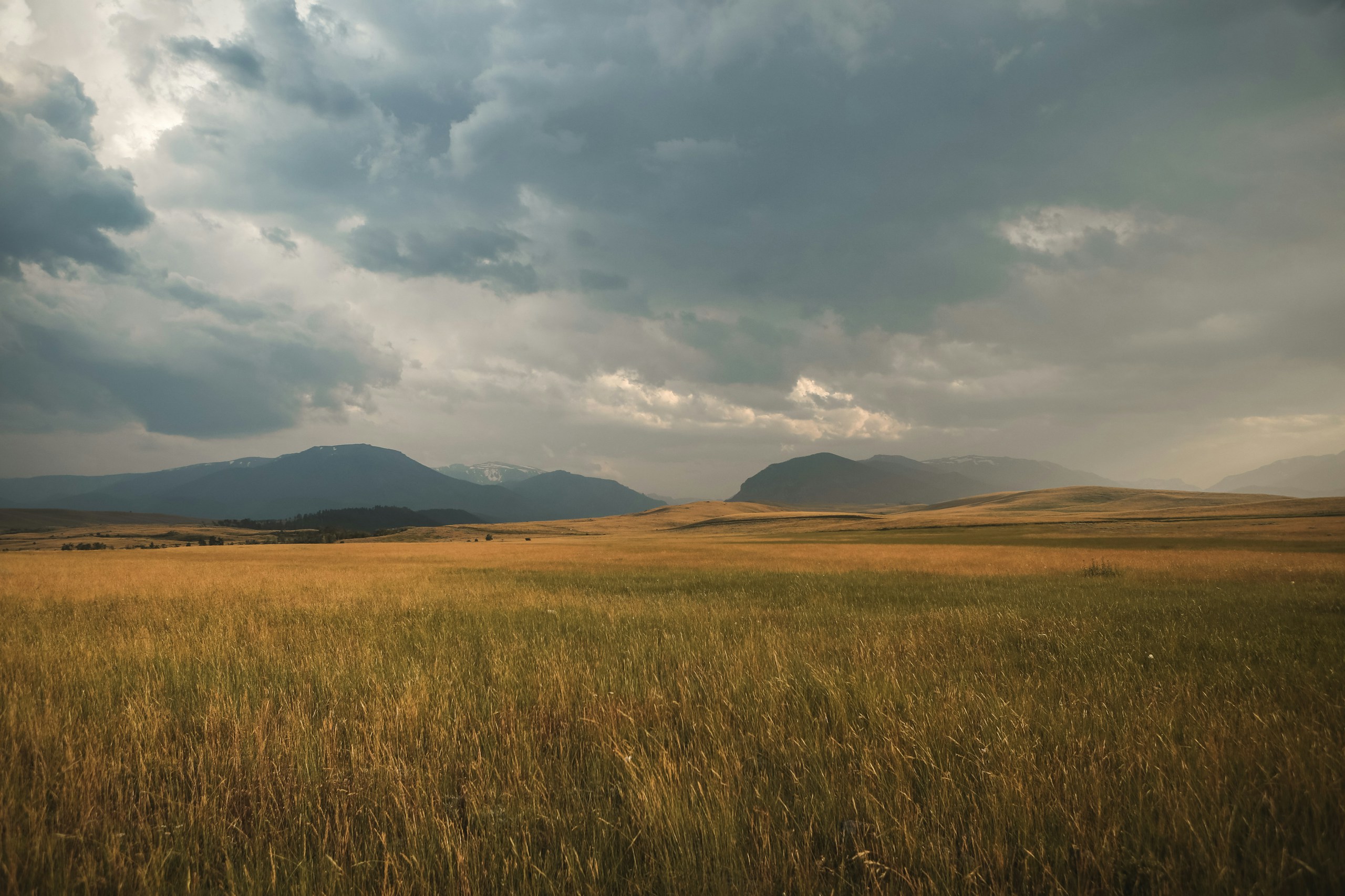 Grassy plains under a cloudy sky with mountains HD Wallpaper