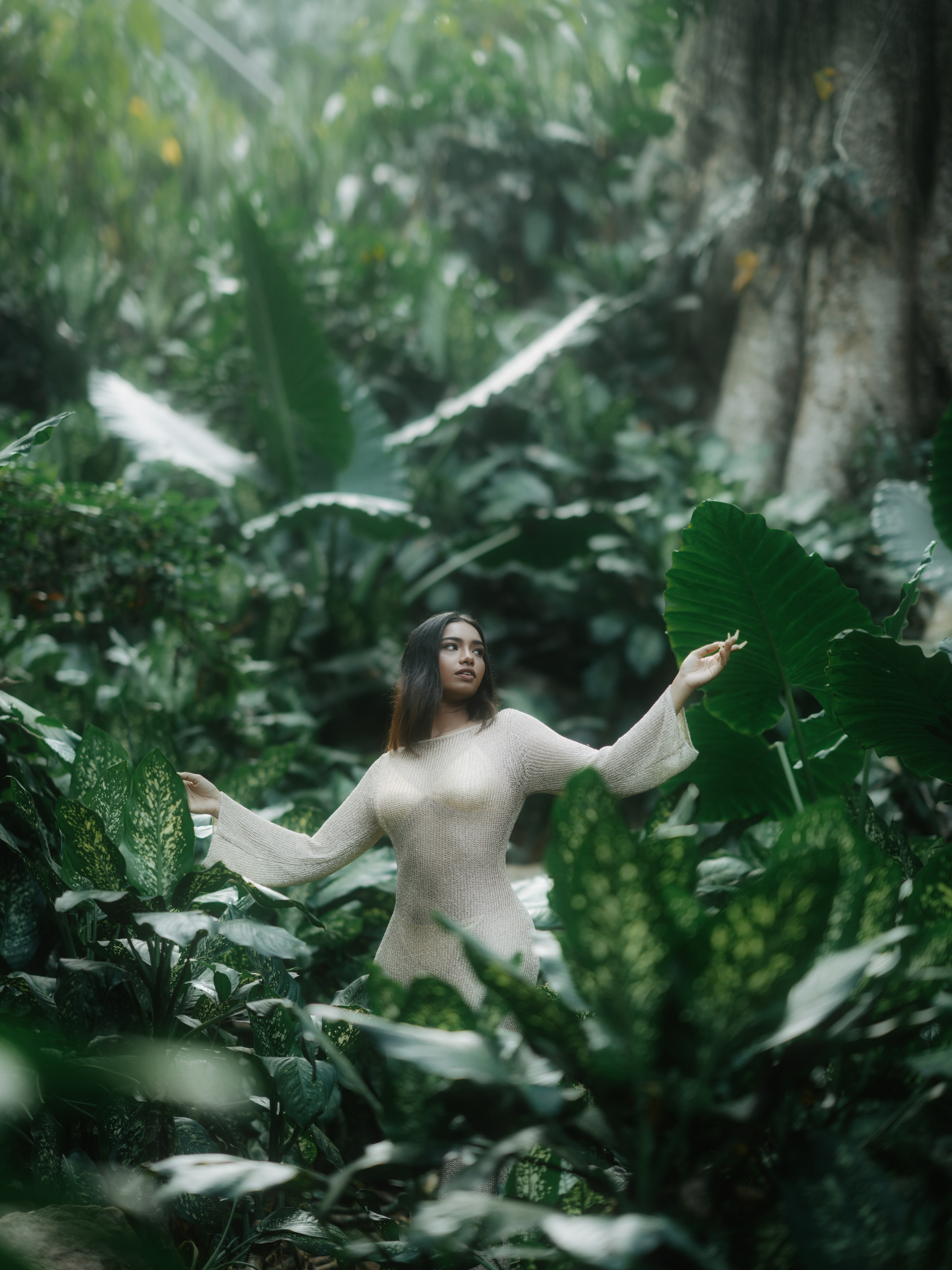 Woman in Knit Dress Amidst Lush Jungle Foliage HD Wallpaper