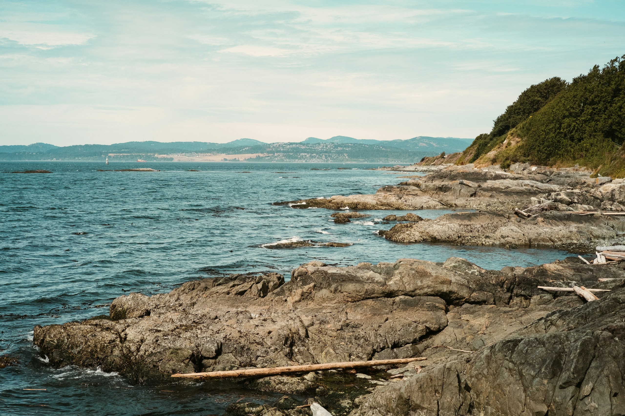 Rocky coastline with driftwood and distant mountains HD Wallpaper