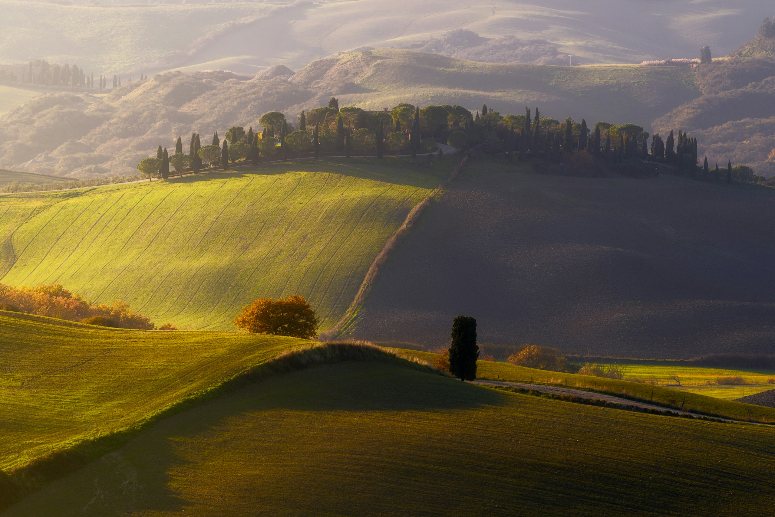 Rolling Green Hills of Val d'Orcia in Tuscany HD Wallpaper