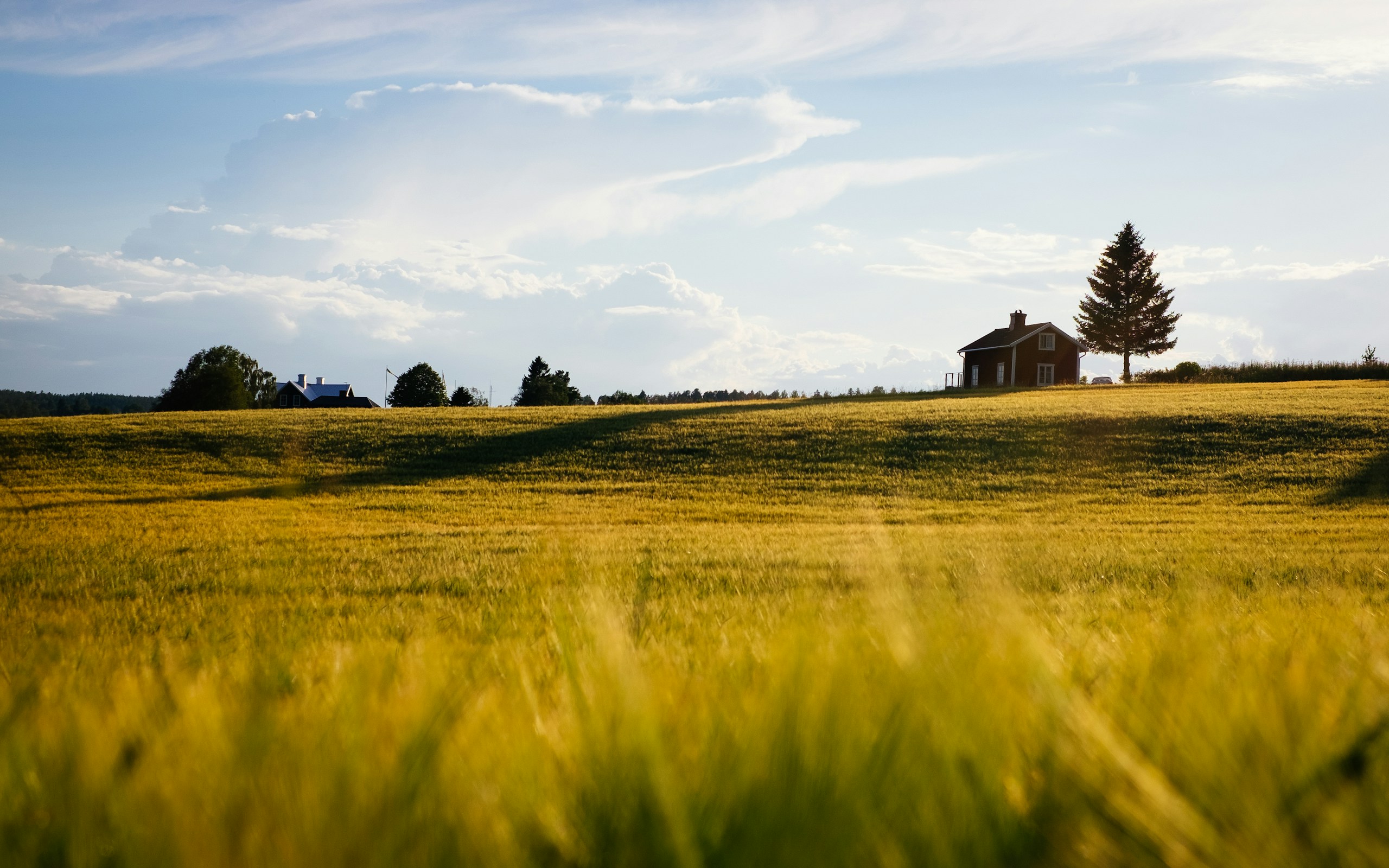 Red house on a golden field under cloudy sky HD Wallpaper