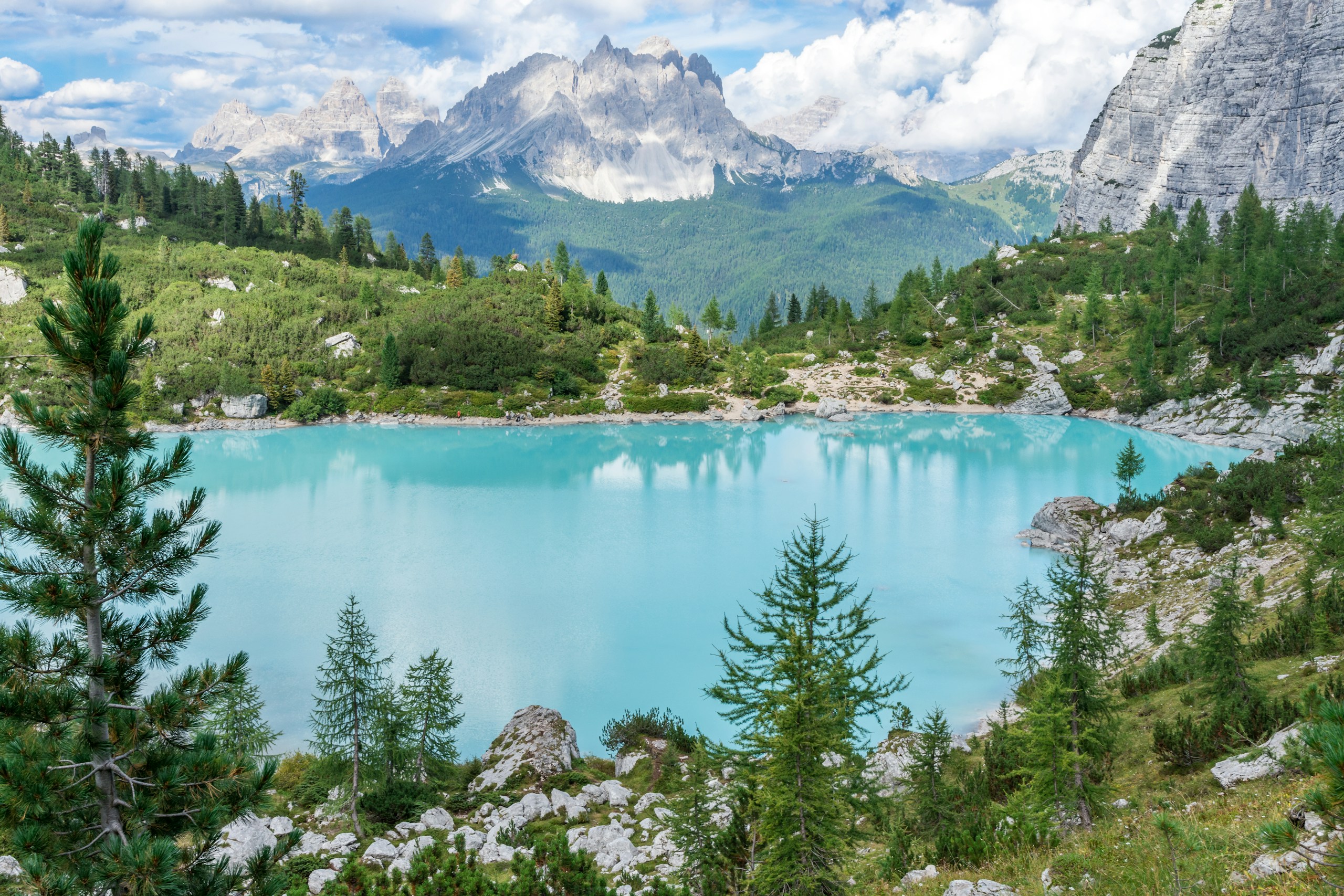 Turquoise alpine lake surrounded by pine trees and mountains HD Wallpaper