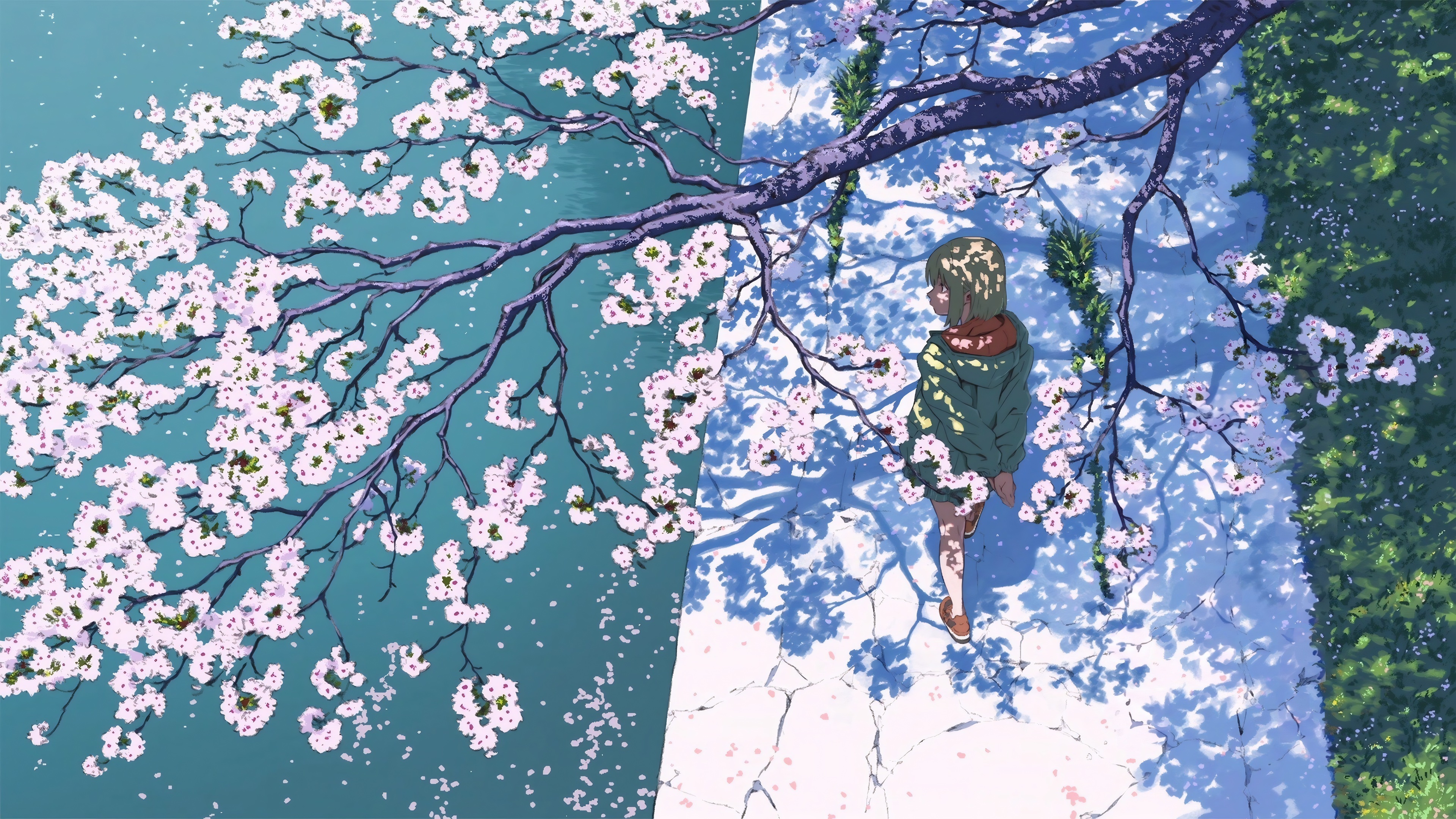 Anime girl walking under blooming cherry blossom tree HD Wallpaper