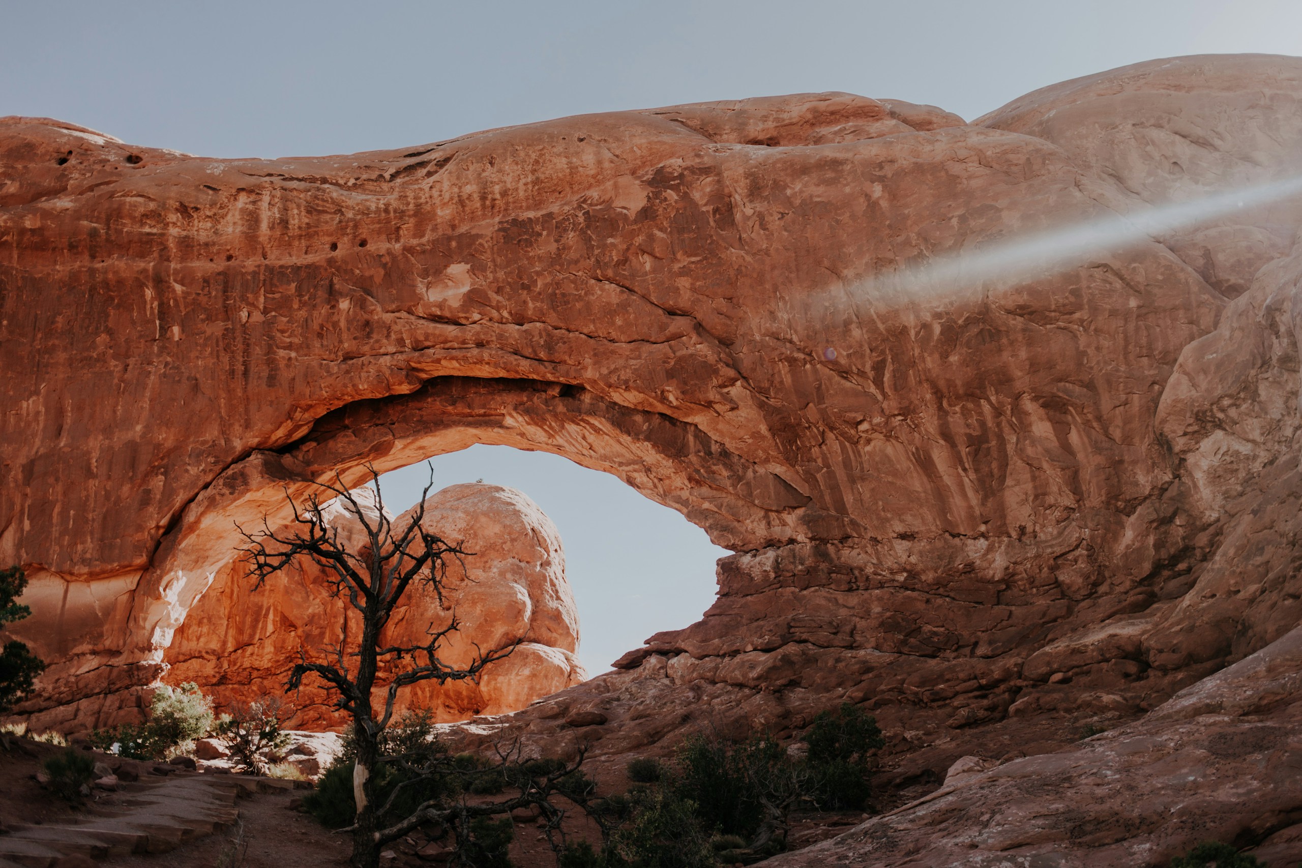 Red Rock Arch Formation with Dead Tree HD Wallpaper