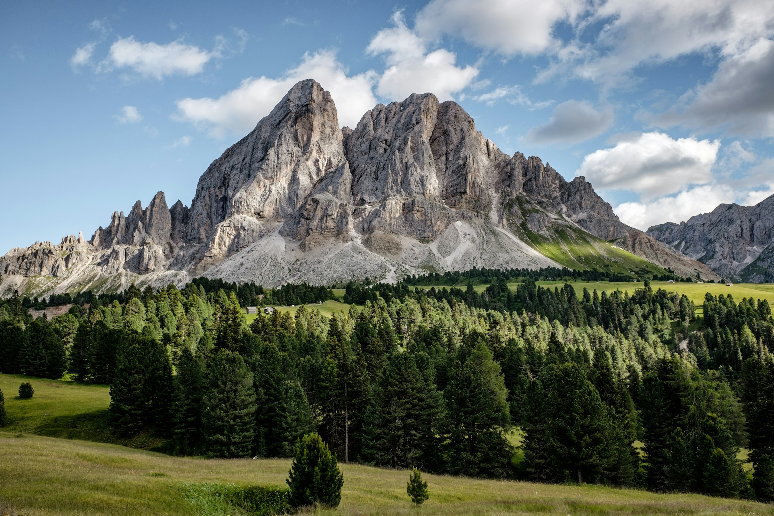 Rocky Mountain Peak and Green Forest in the Dolomites HD Wallpaper