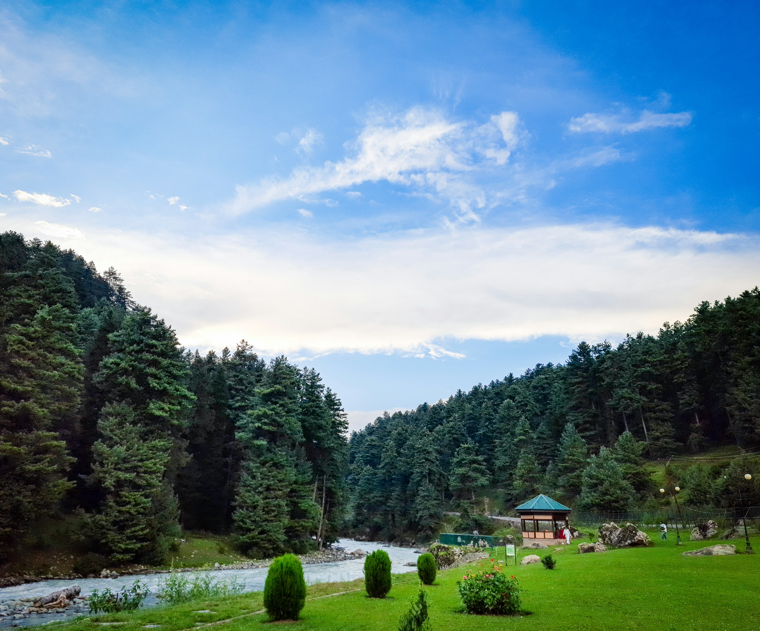 Lush green meadow and river in pine forest valley HD Wallpaper