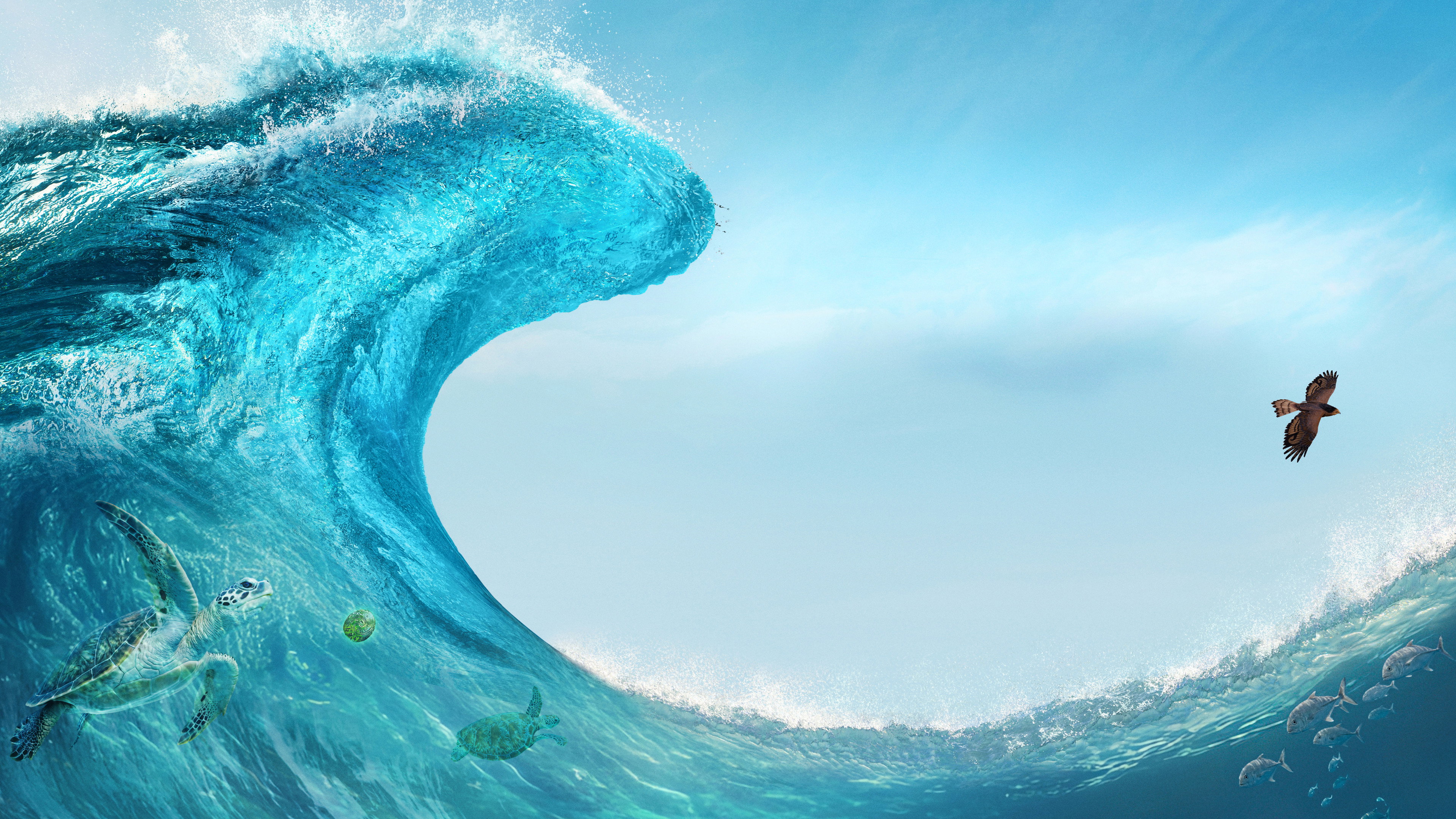 Ocean wave with sea turtles and hawk from Moana HD Wallpaper