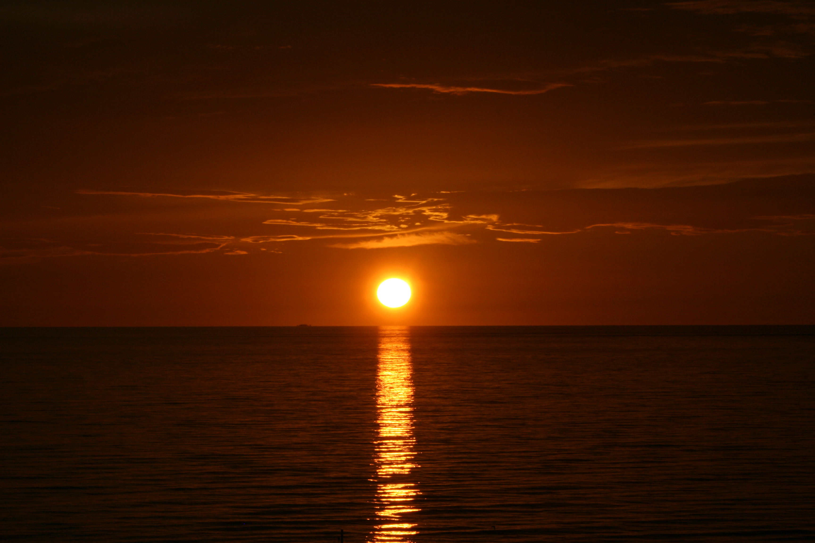 Golden sunset over calm ocean horizon HD Wallpaper