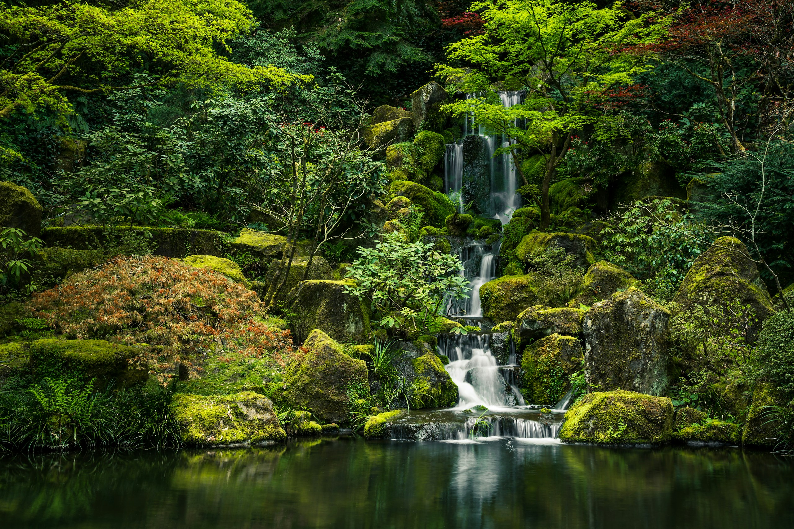 Lush waterfall in the Portland Japanese Garden HD Wallpaper
